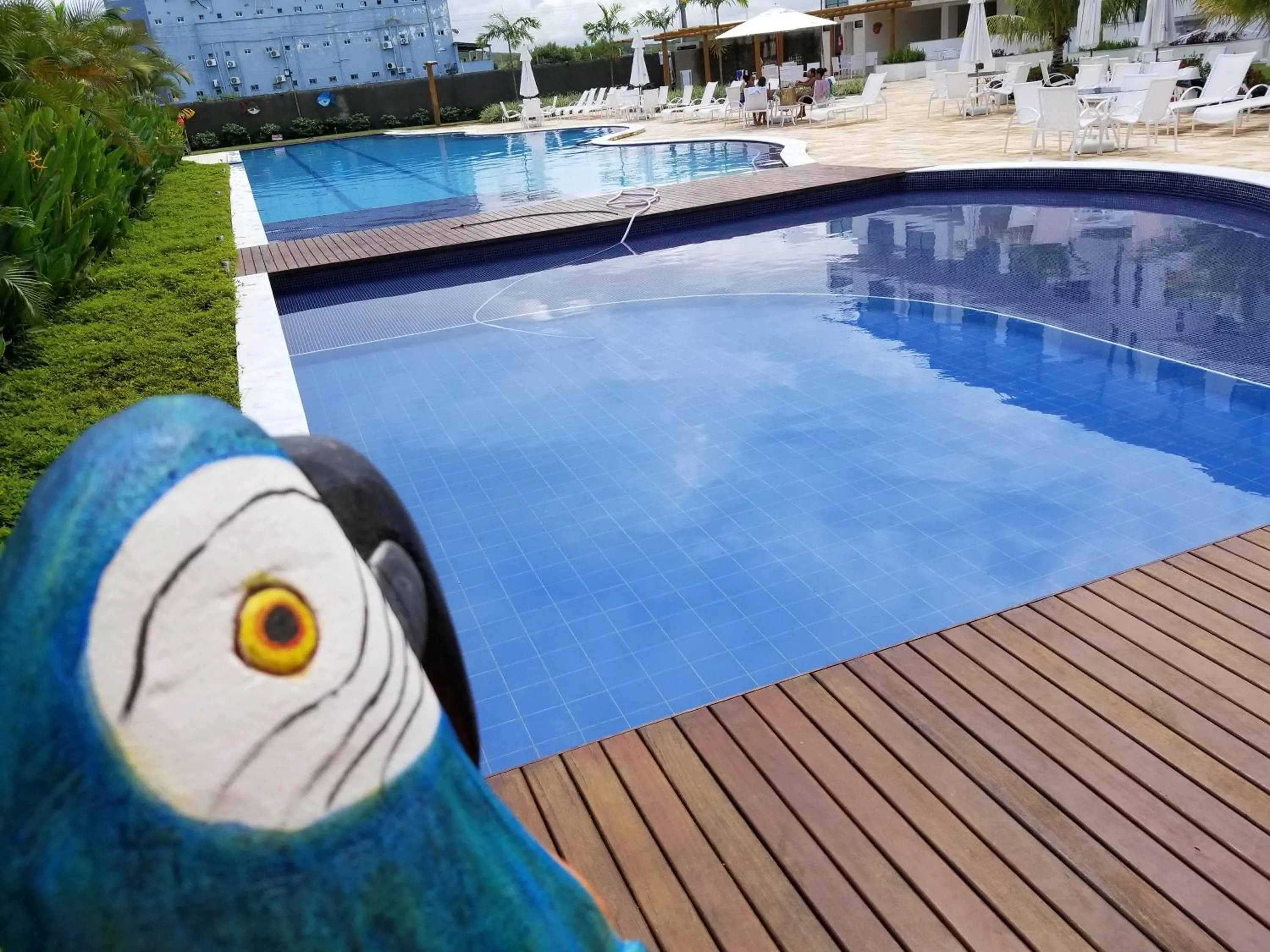 Garden in Laguna Beach Flat - LUXO