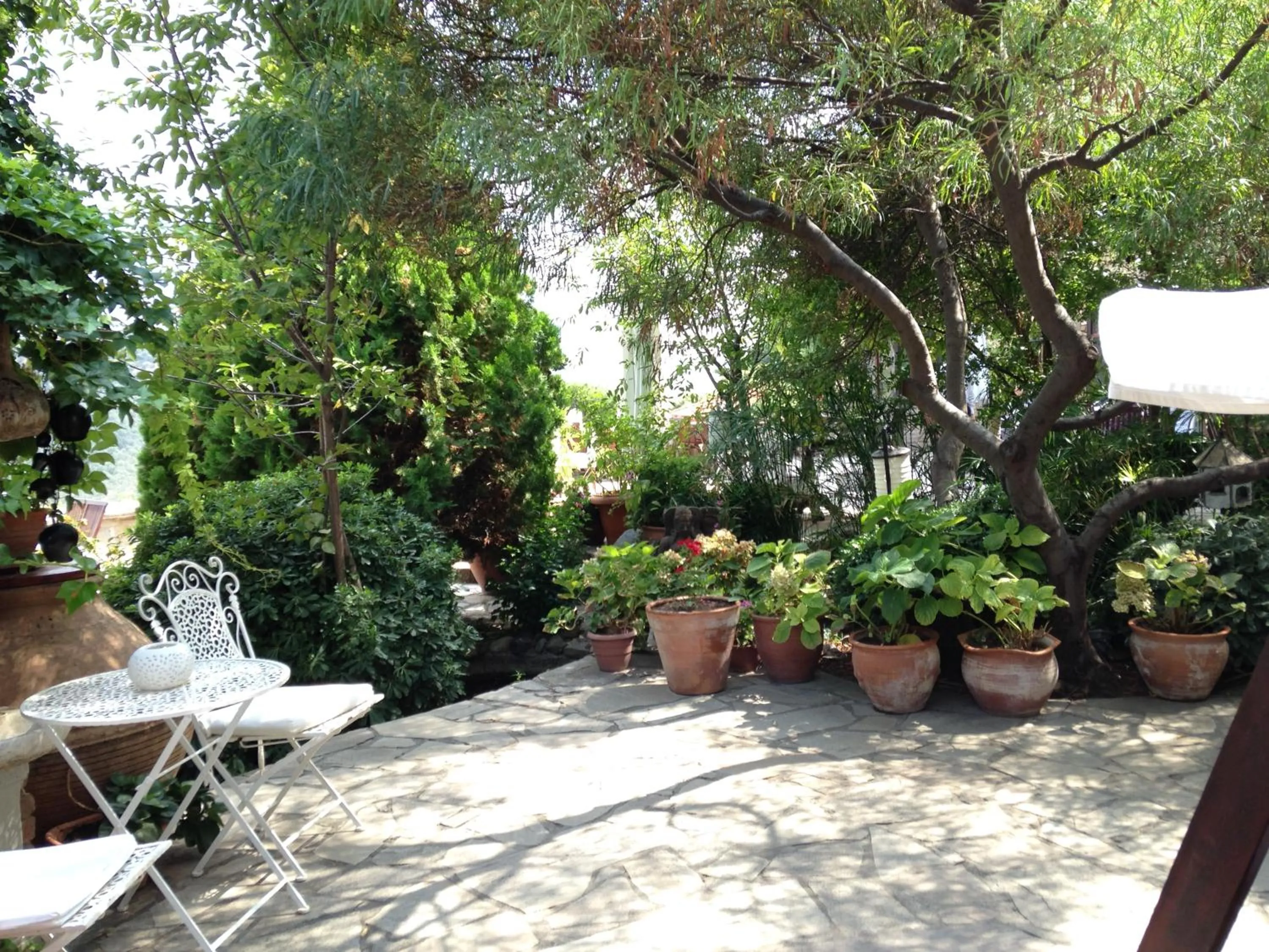 Patio in Manici Kasri