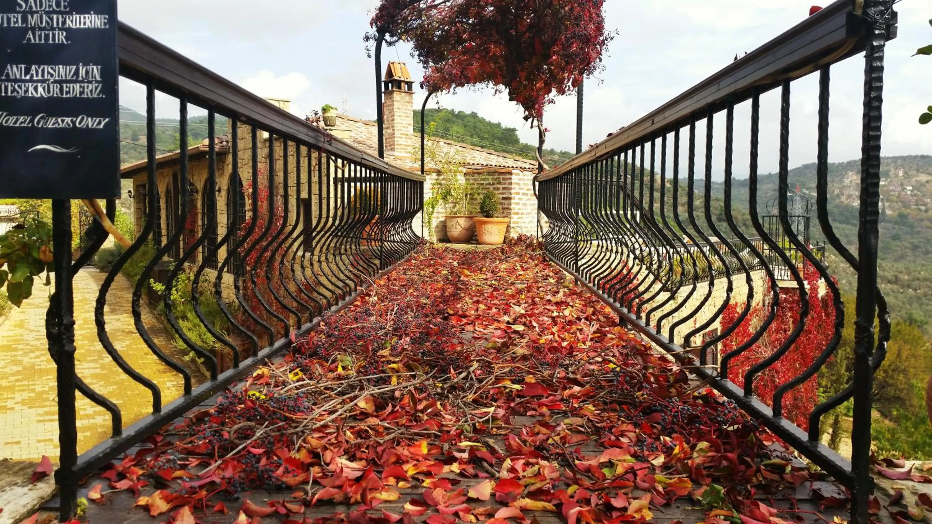 Autumn in Manici Kasri