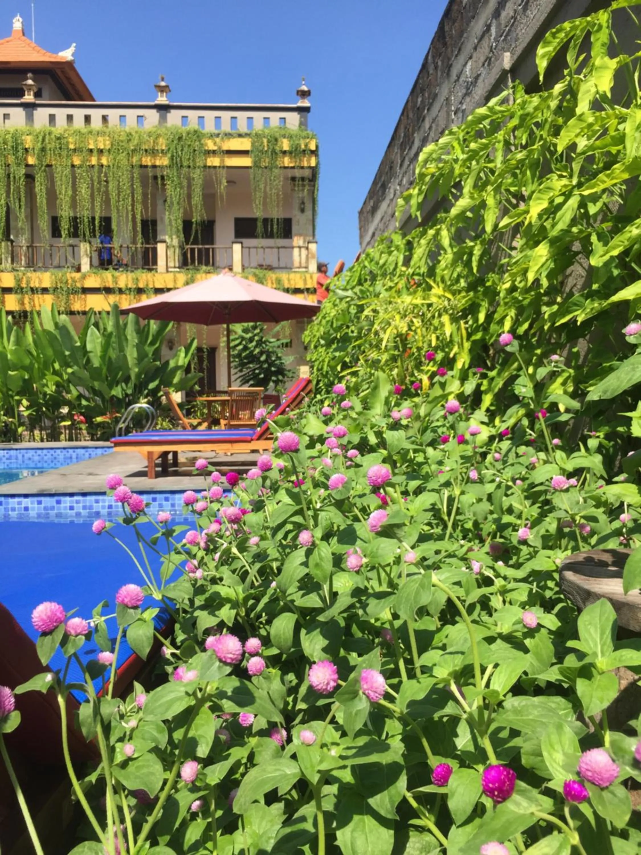 Swimming pool in Saka Boutique Hotel