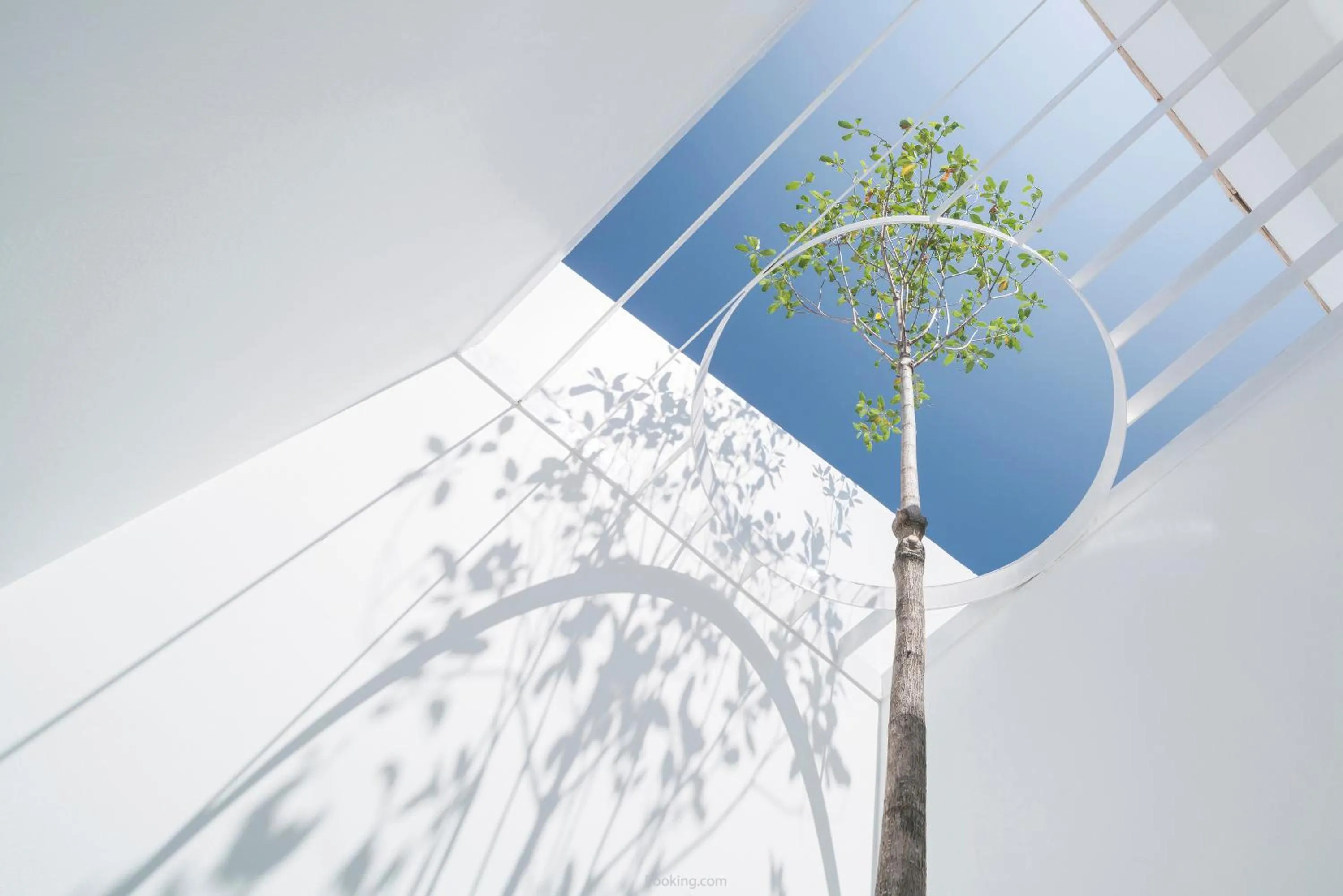 Day in SALA Samui Chaweng Beach Resort