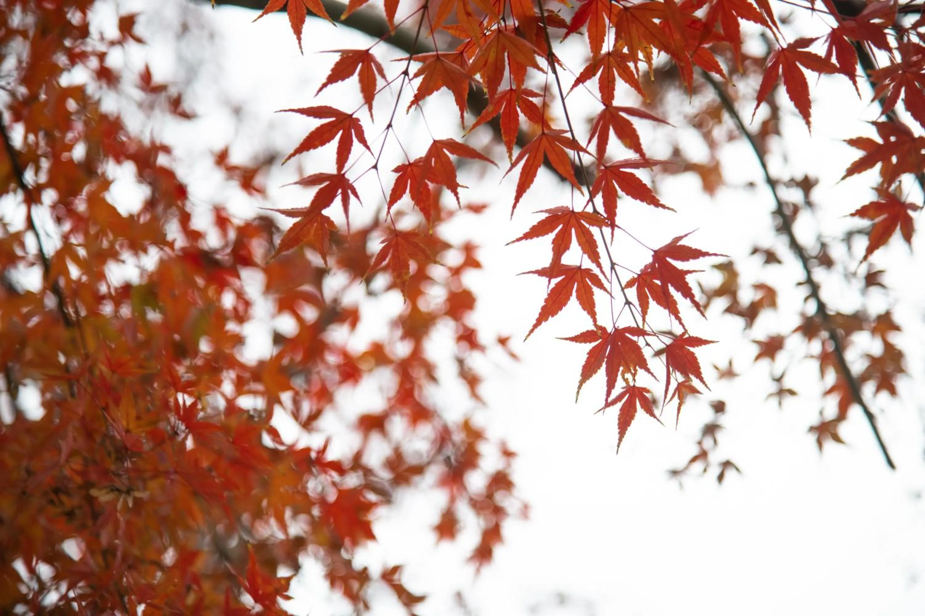 Natural landscape in bnb+ Secret Base Mejiro