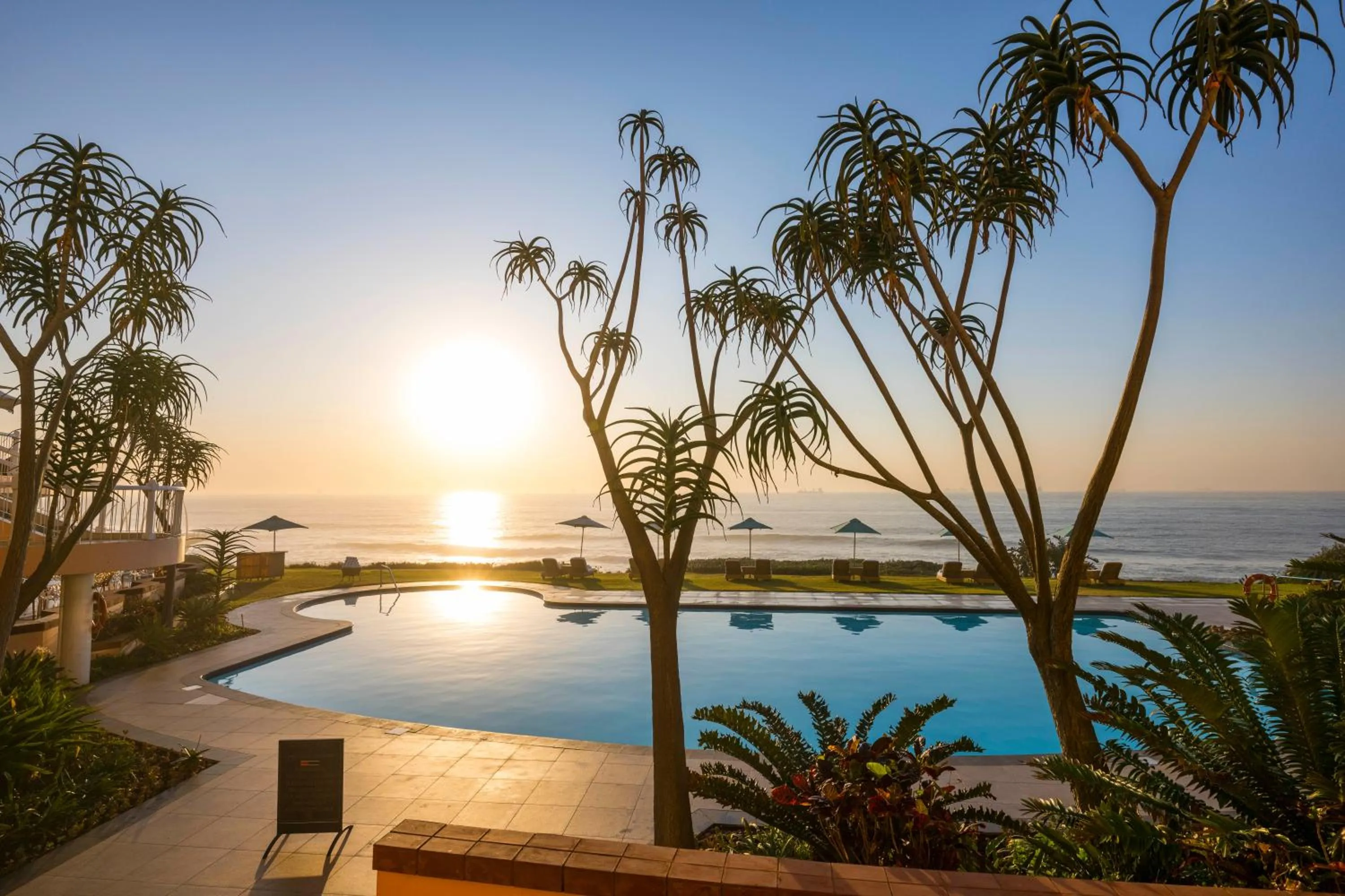 Swimming pool in Beverly Hills