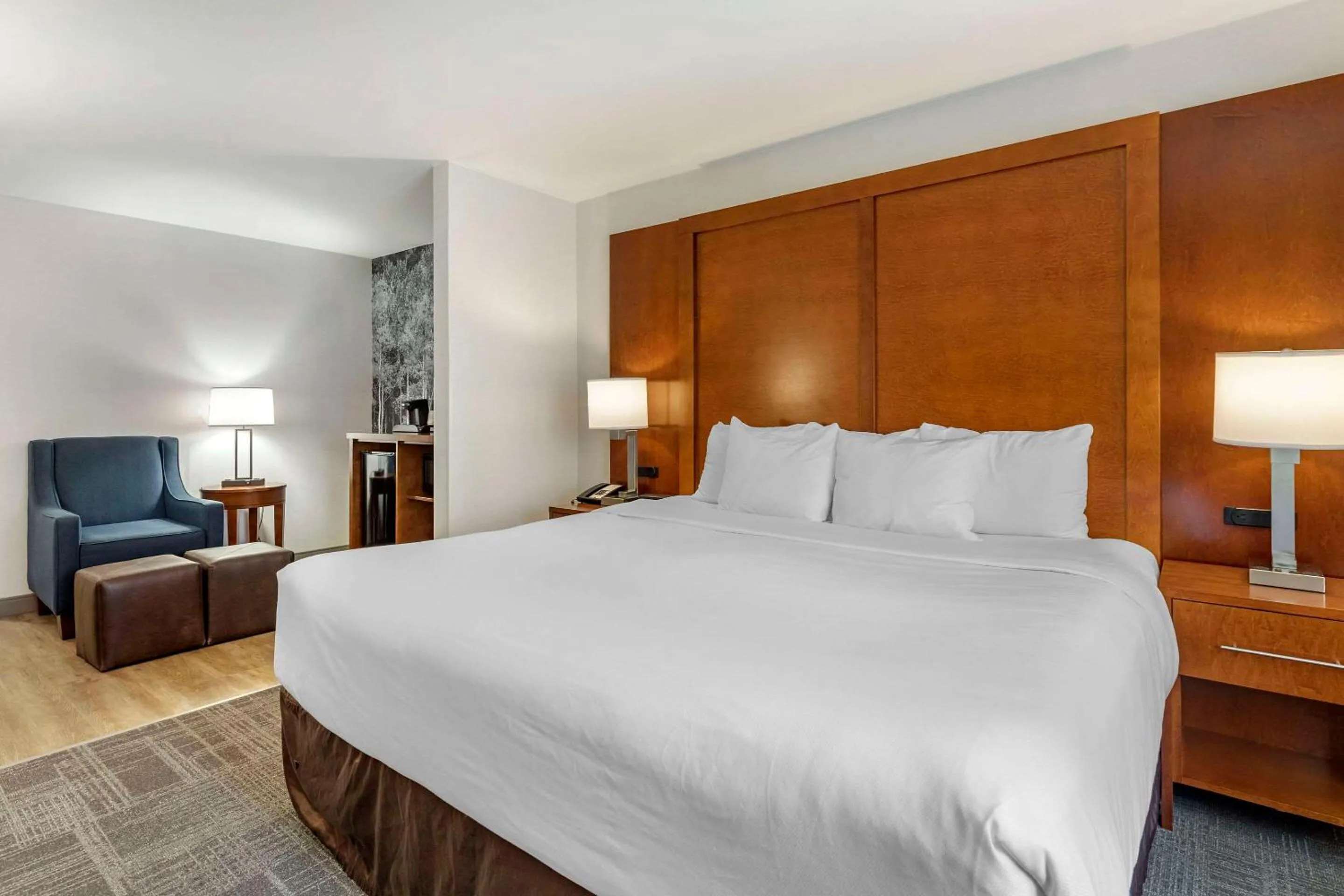 Bedroom, Bed in Comfort Suites Golden West on Evergreen Parkway