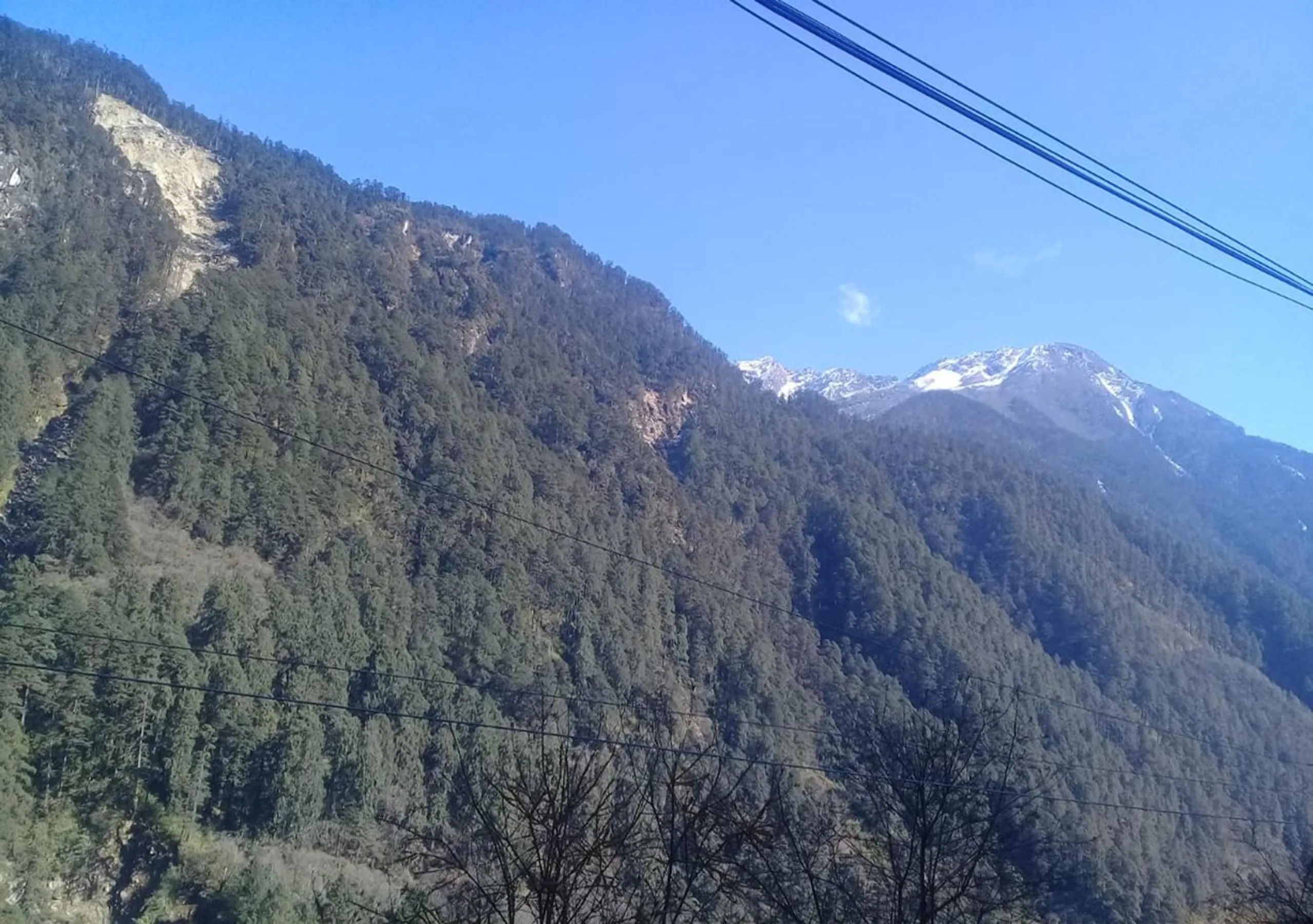 Mountain view in Rufina Blue Pine