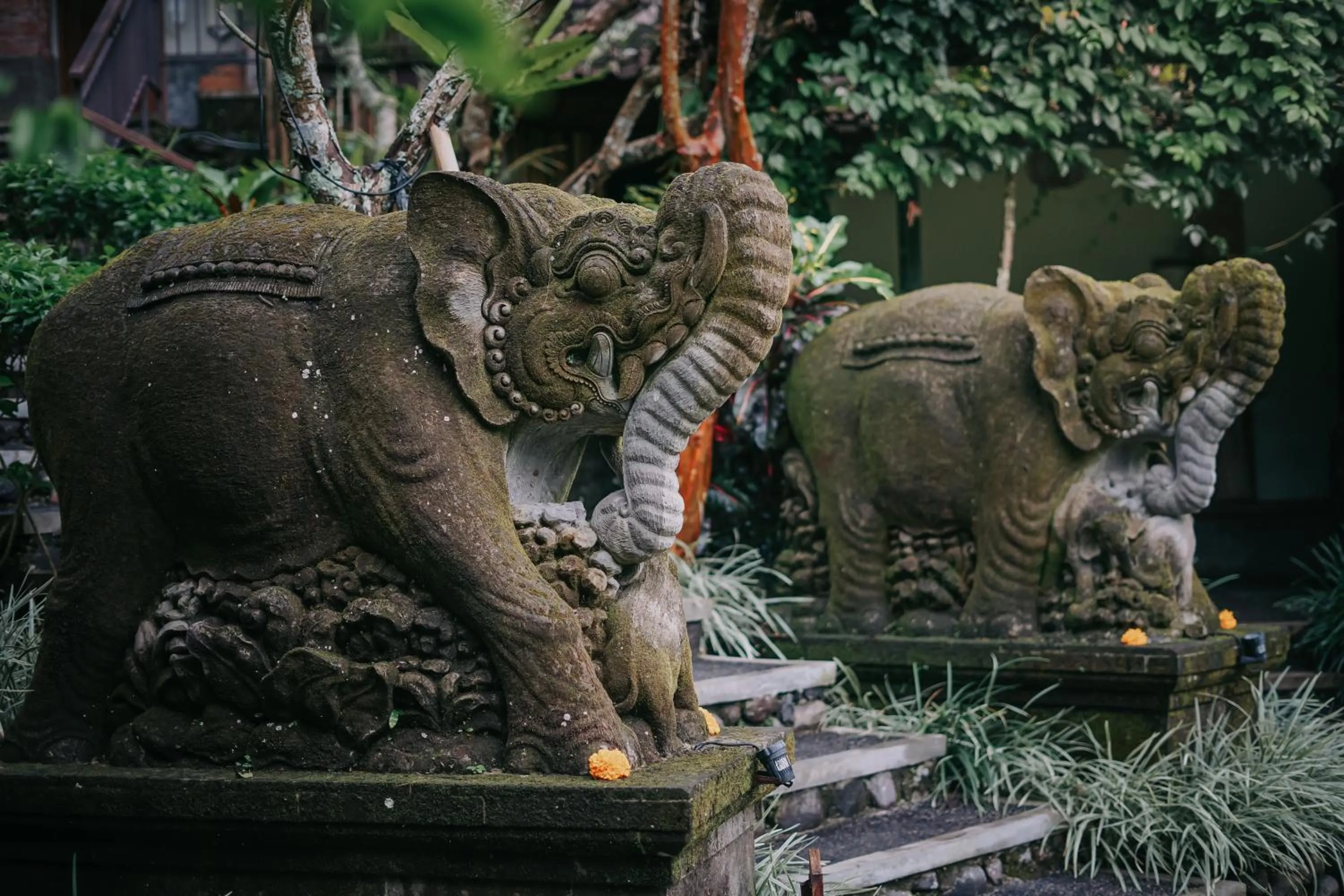 Garden in Bucu View Resort