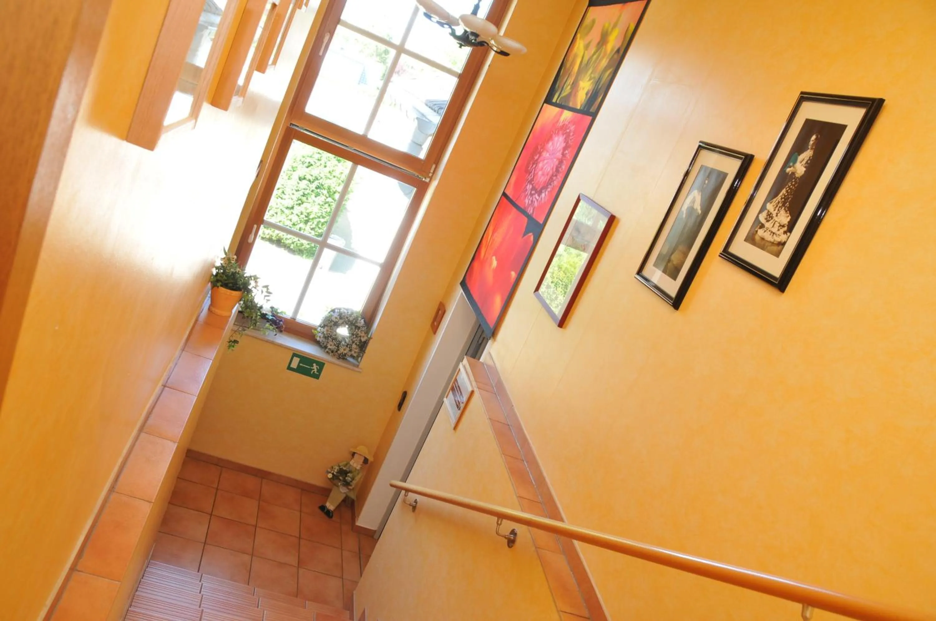 Other in Pension Bella Vista