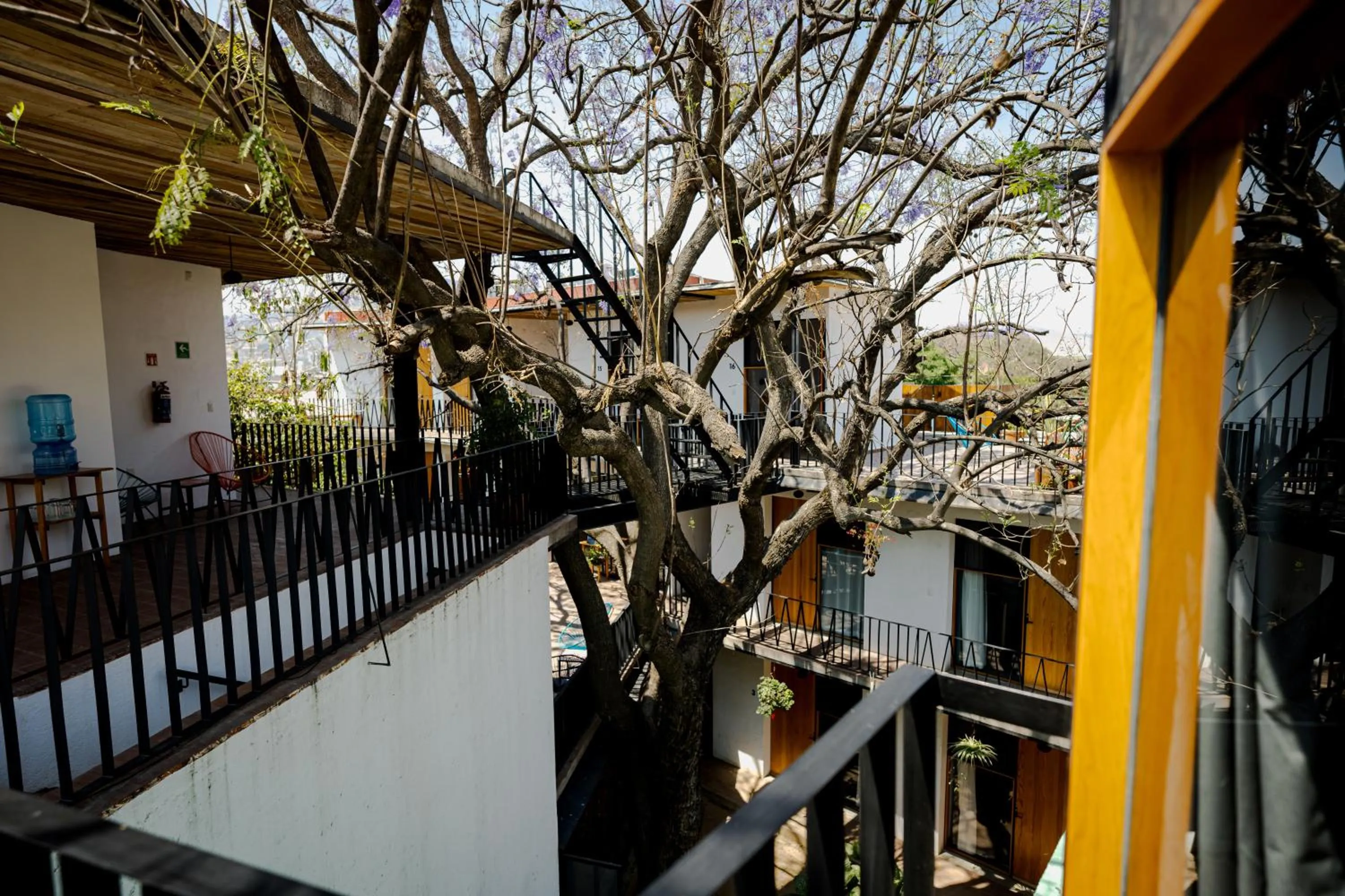 View (from property/room) in Hotel con Corazón Oaxaca