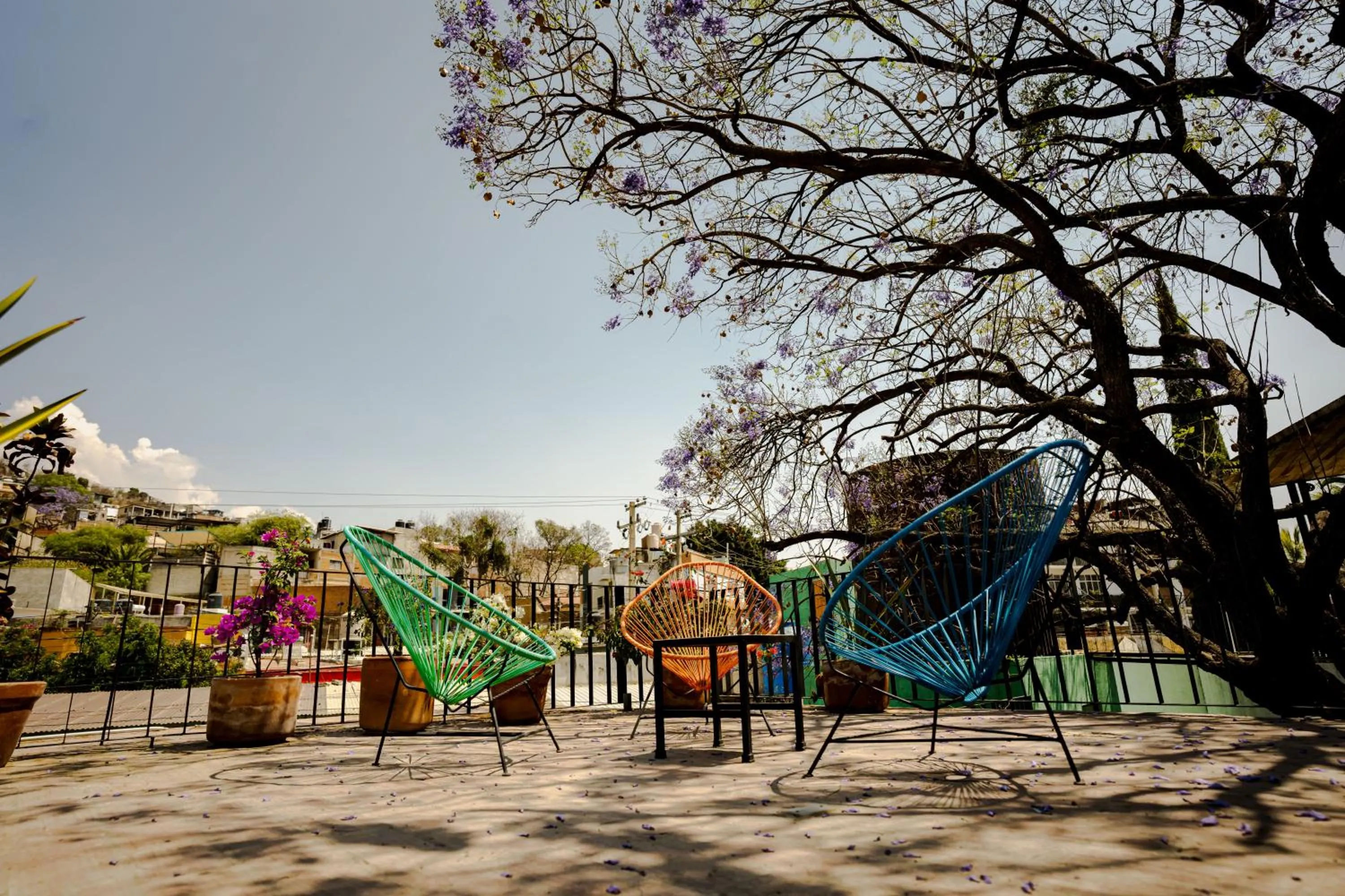 Balcony/Terrace in Hotel con Corazón Oaxaca