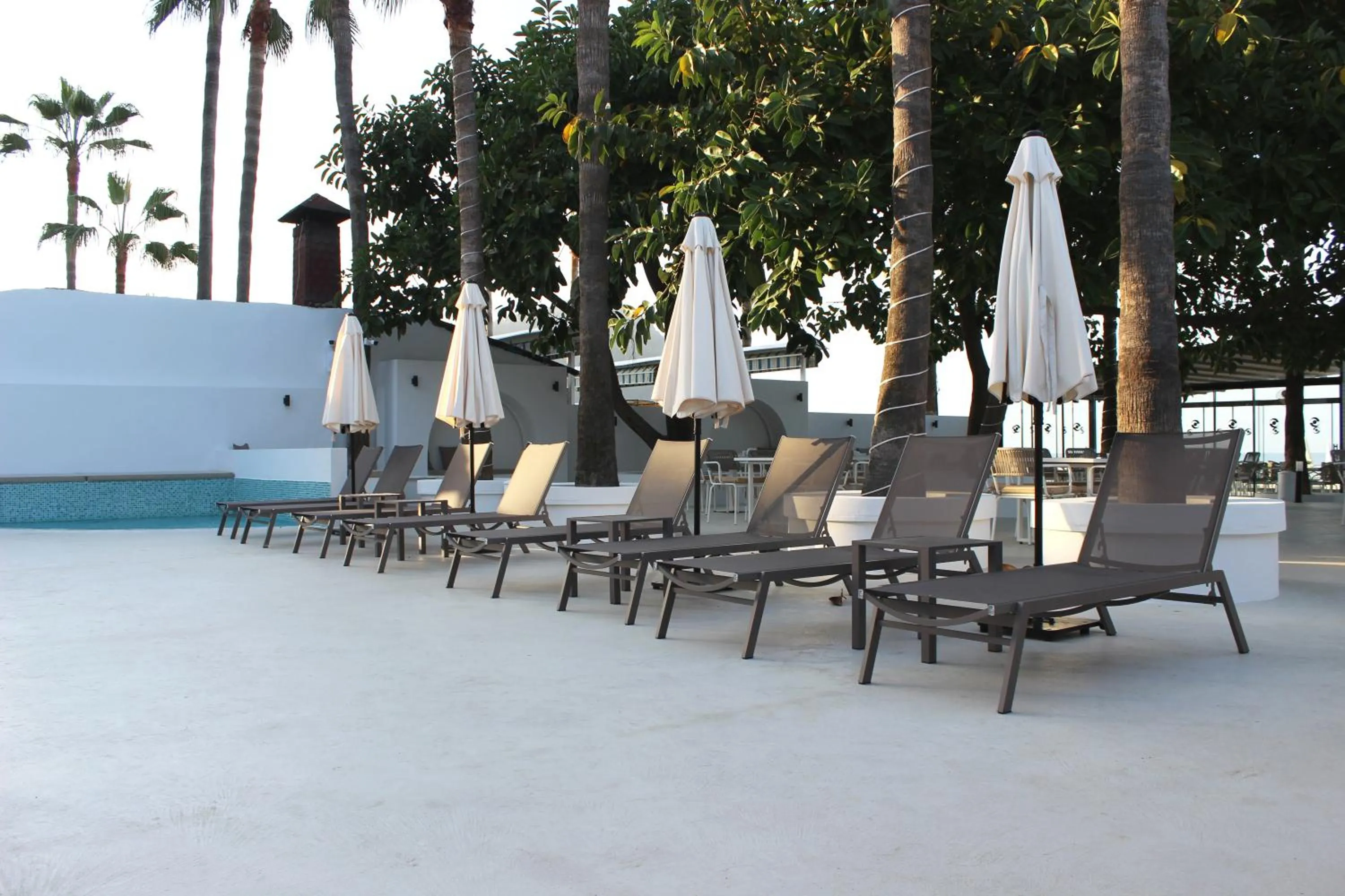 Garden in Savk Hotel