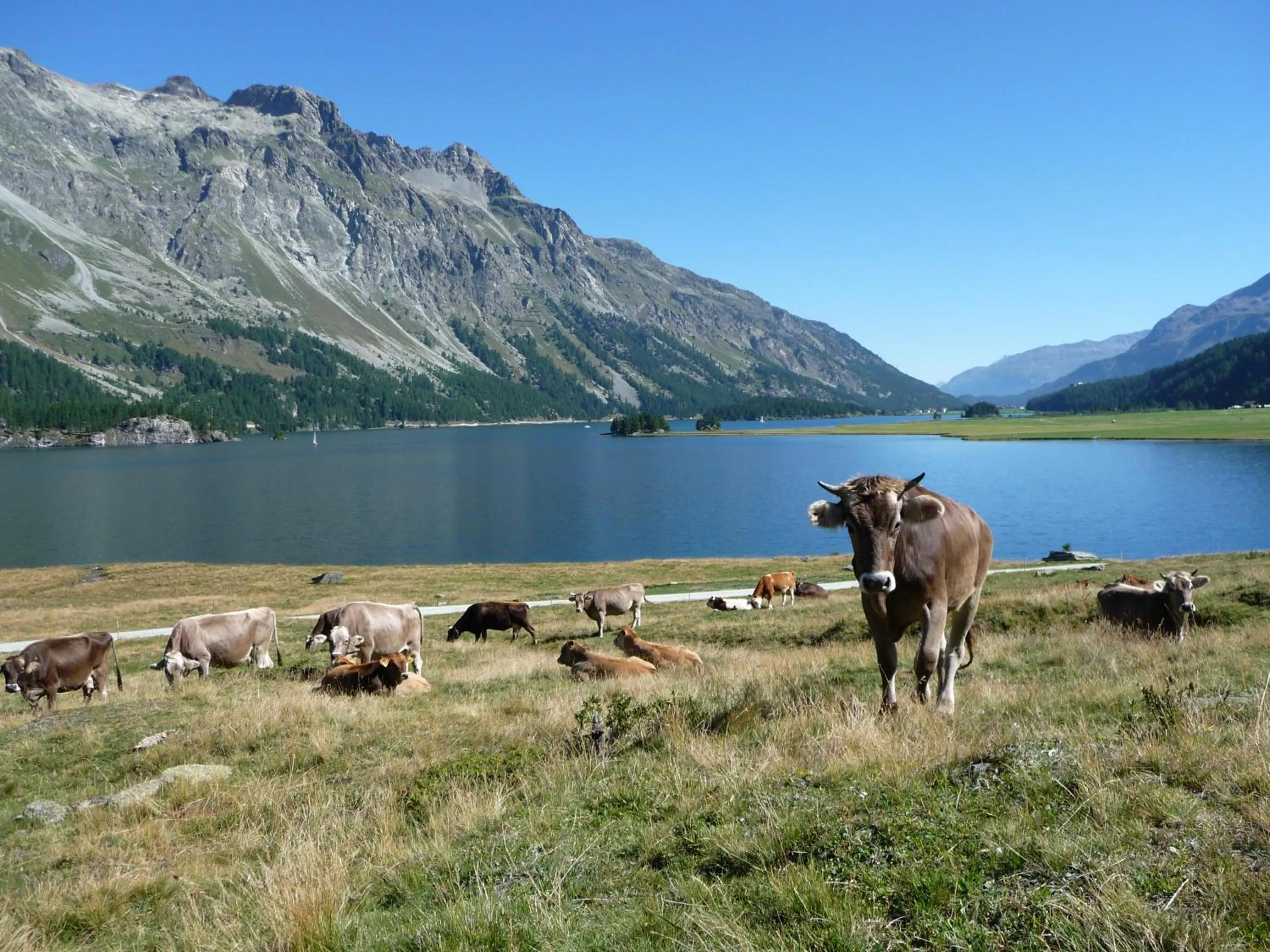 Nearby landmark in Hotel Piuro