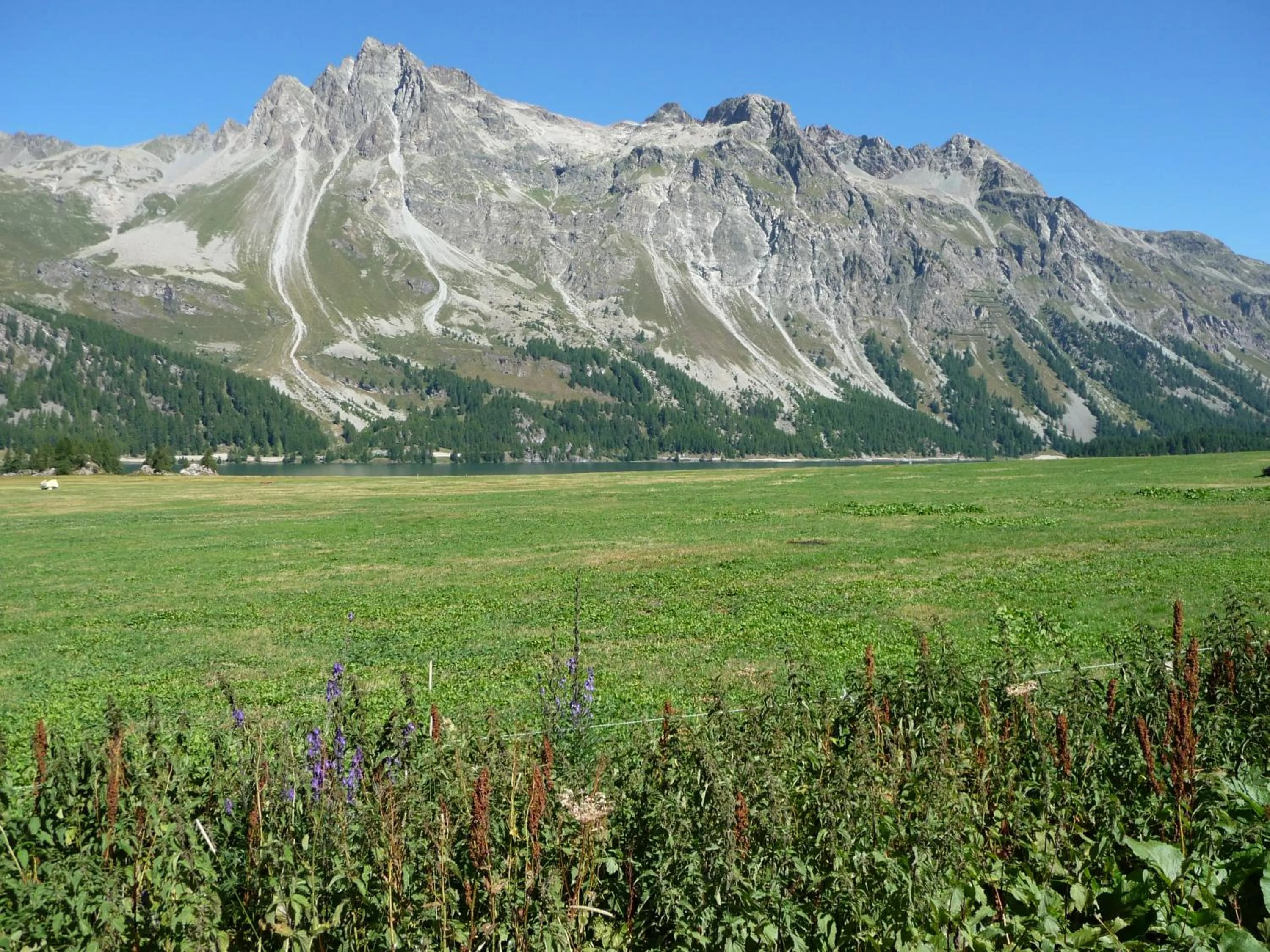 Natural landscape in Hotel Piuro