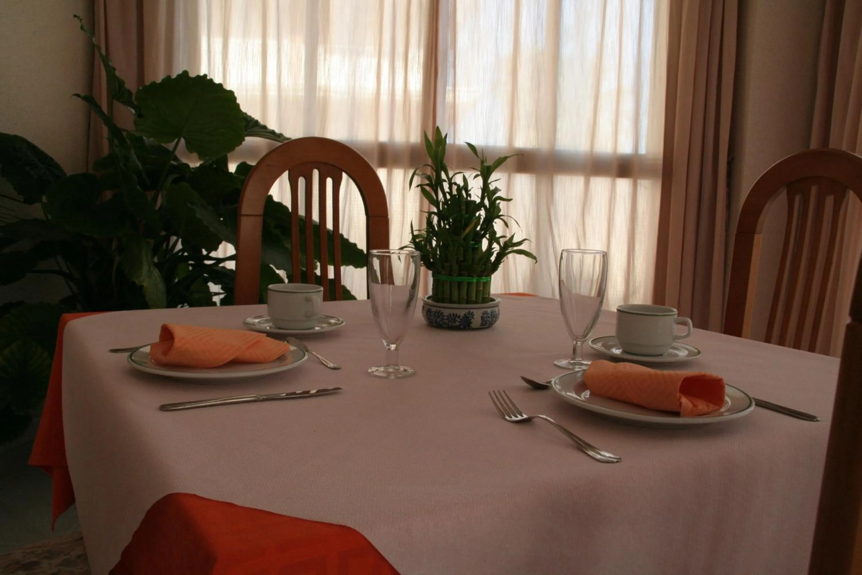 Restaurant/places to eat in Hotel Levante