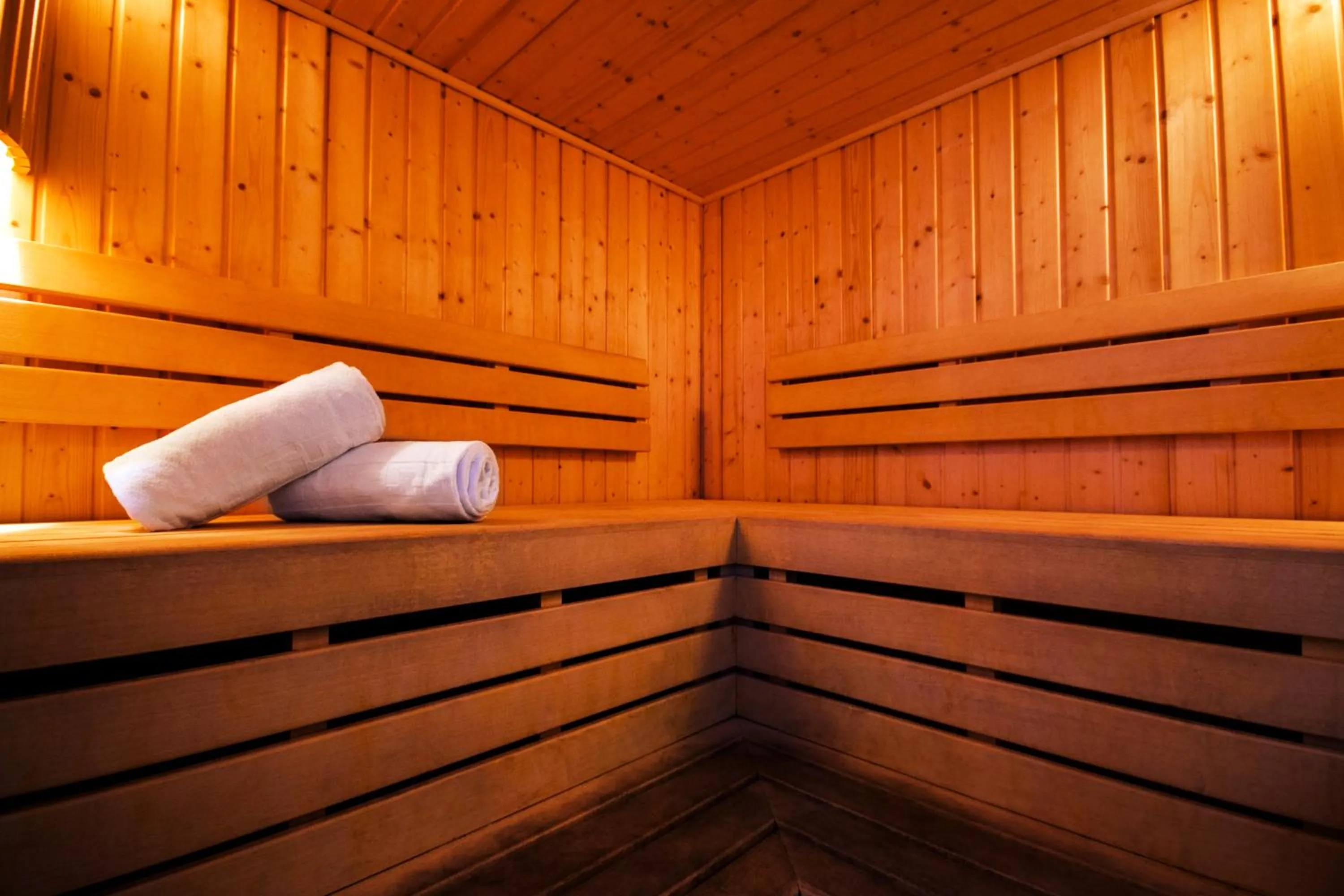 Sauna in Hotel Fontana Plaza