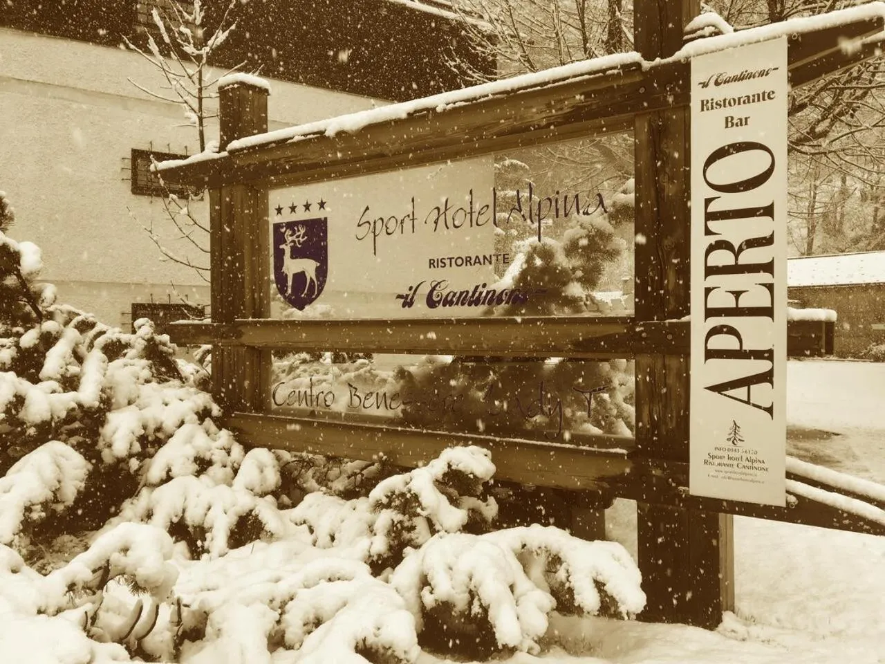 Winter in Sport Hotel Alpina