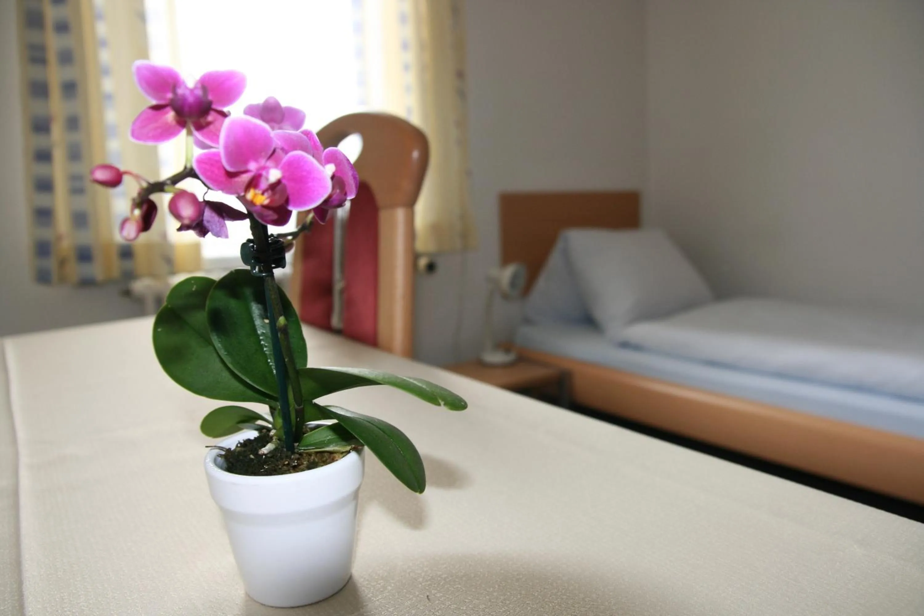 Bed in Hotel Glärnisch Hof