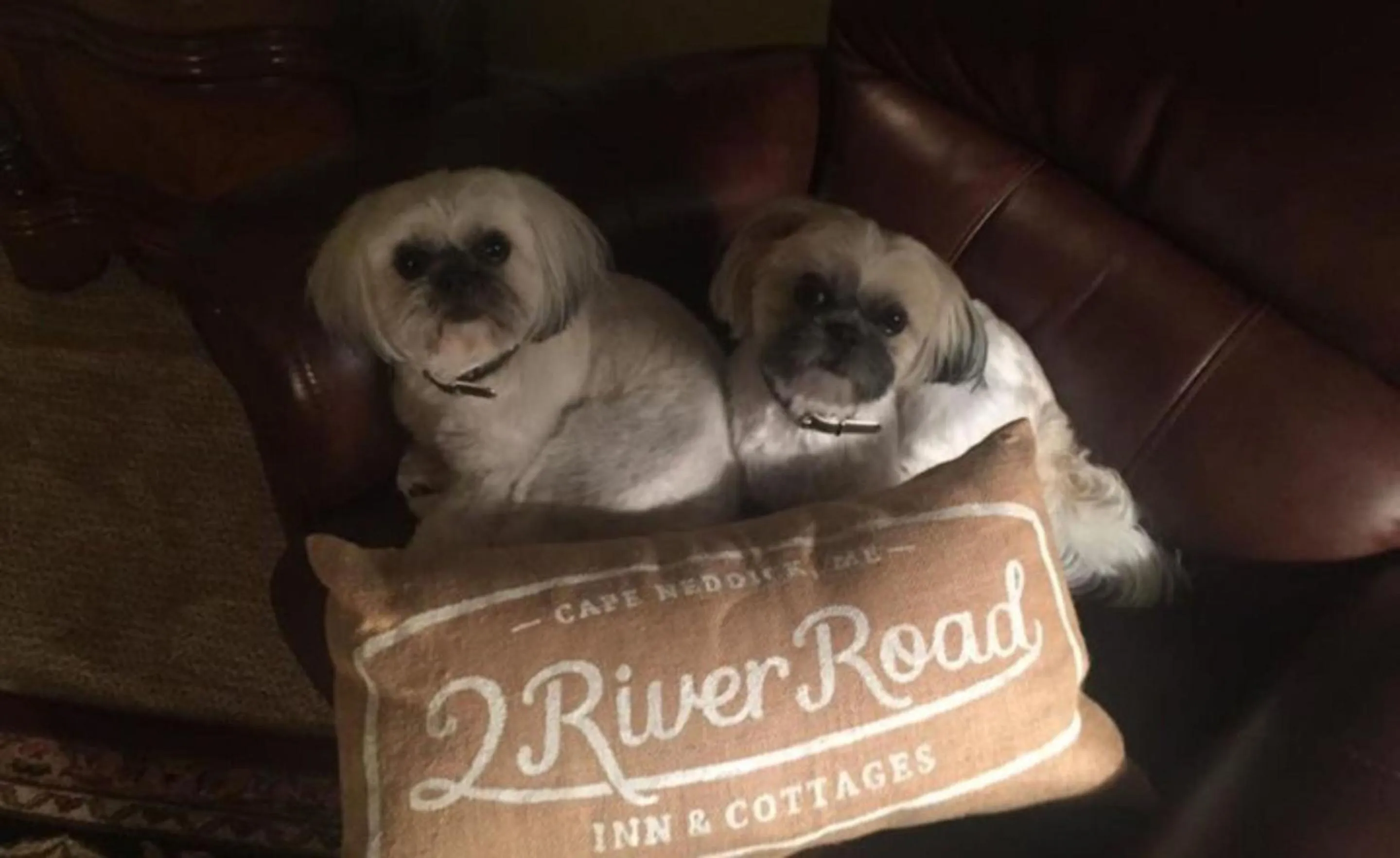 Other in 2 River Road Inn Cottages