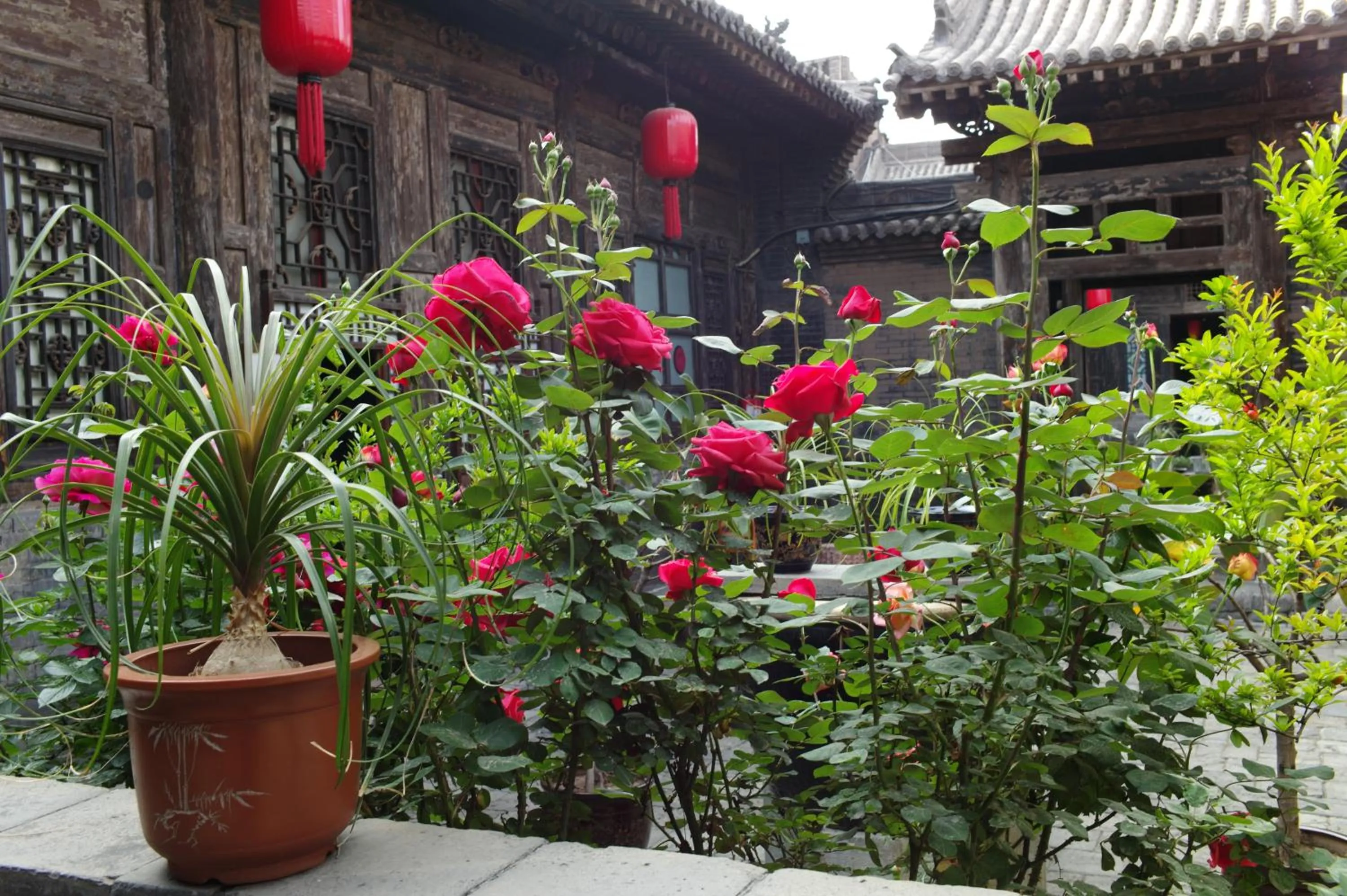 Garden view in Pingyao Yide Hotel