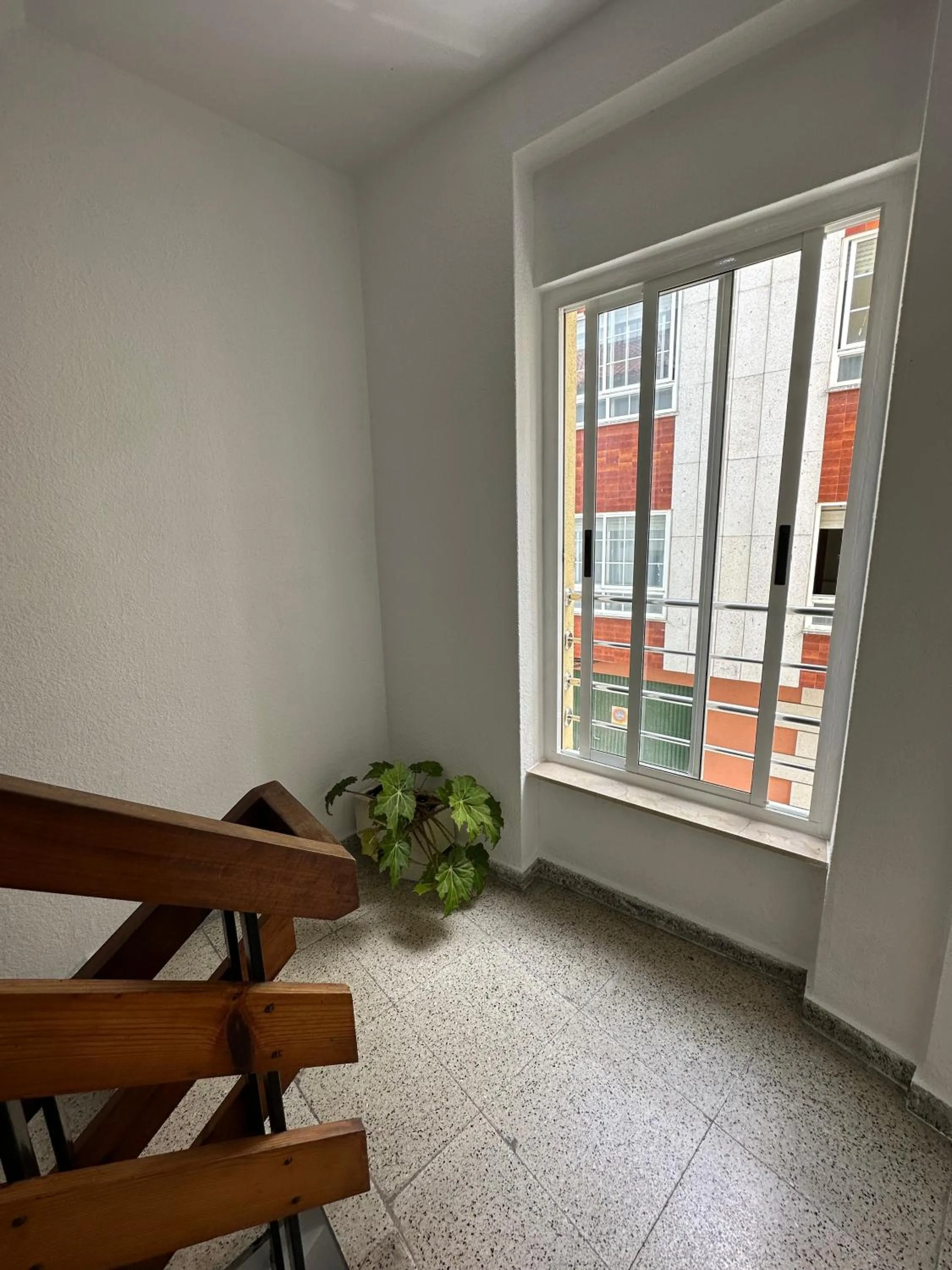 Spring in Hotel Angelito