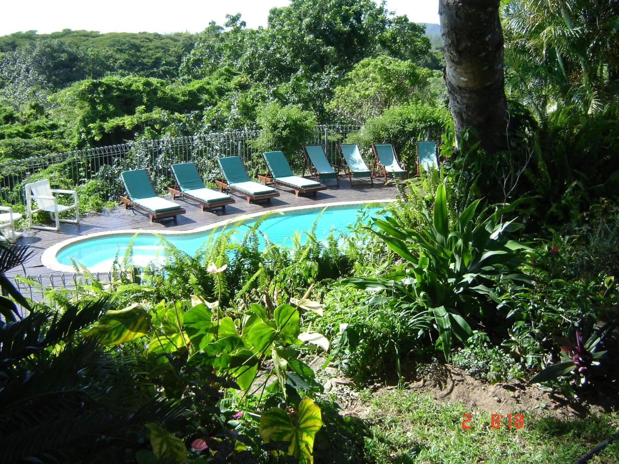 Pool view in St Lucia Eco Lodge