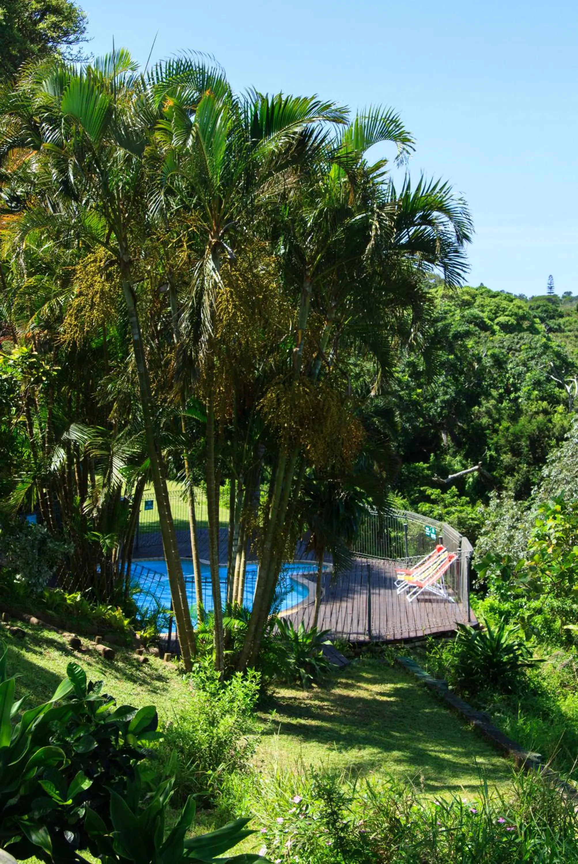 Pool view in St Lucia Eco Lodge