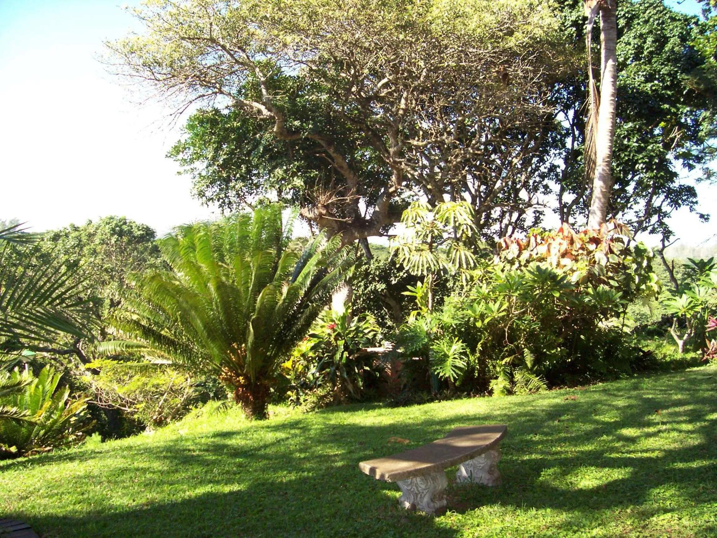 Garden in St Lucia Eco Lodge