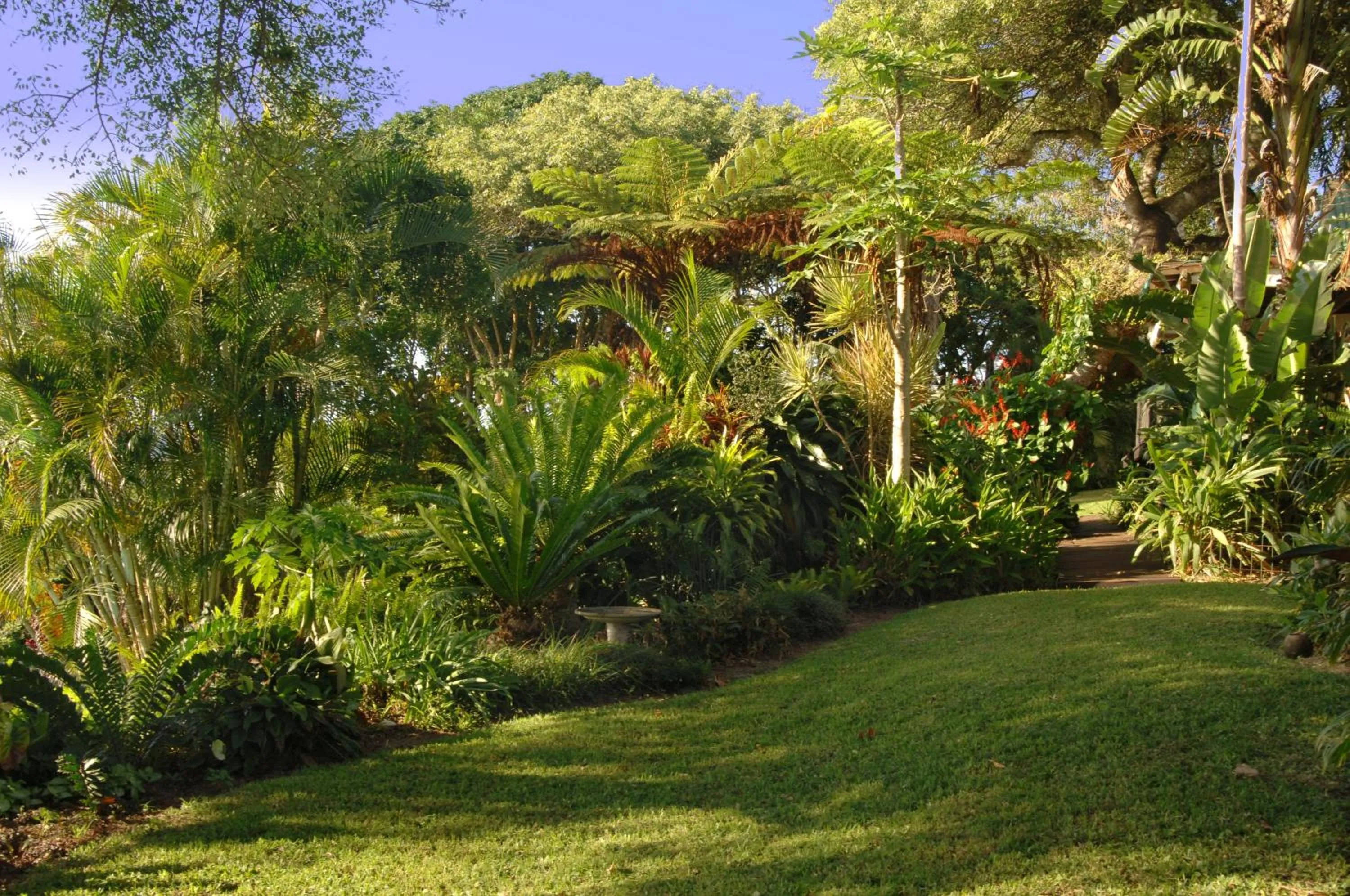 Garden in St Lucia Eco Lodge