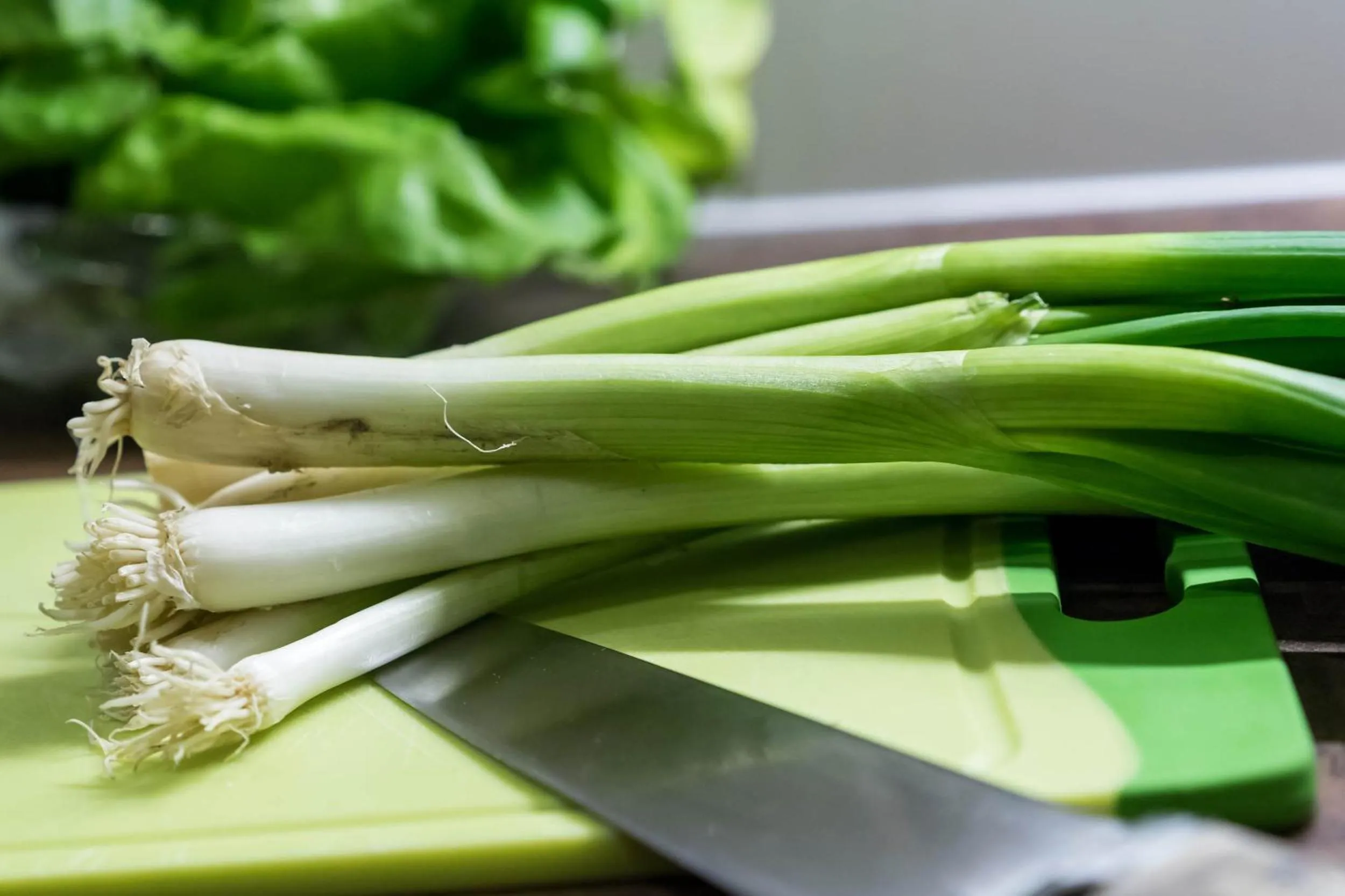 Other in Aparthotel Gallahaus