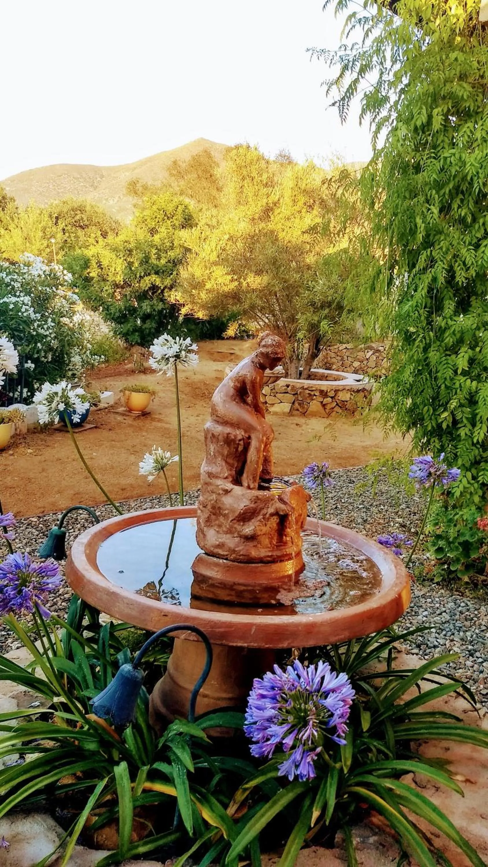Garden view in Viña Calabria