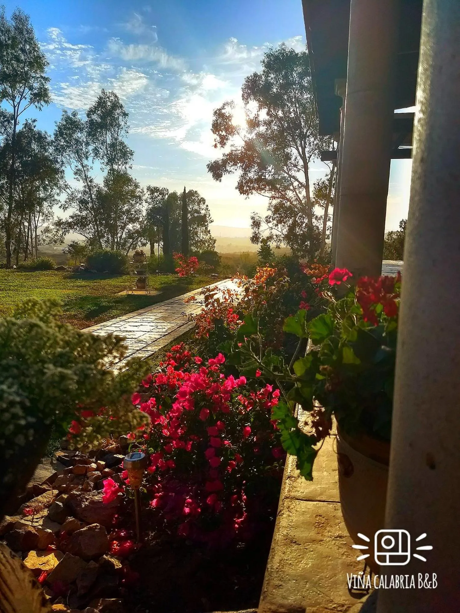 Natural landscape in Viña Calabria