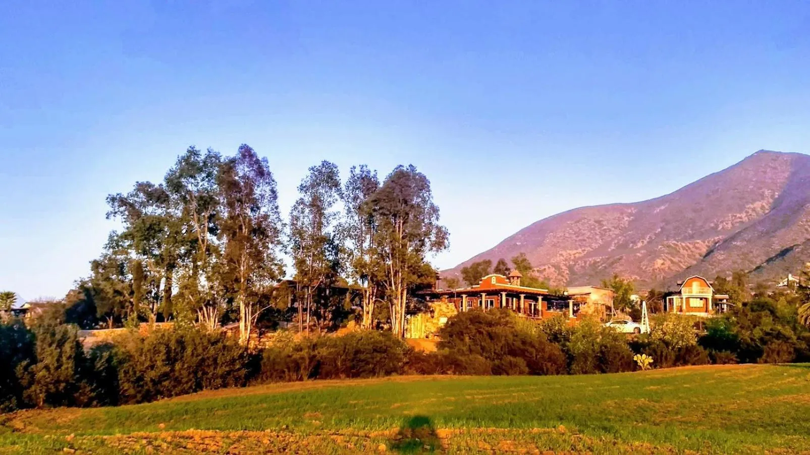 Natural landscape in Viña Calabria