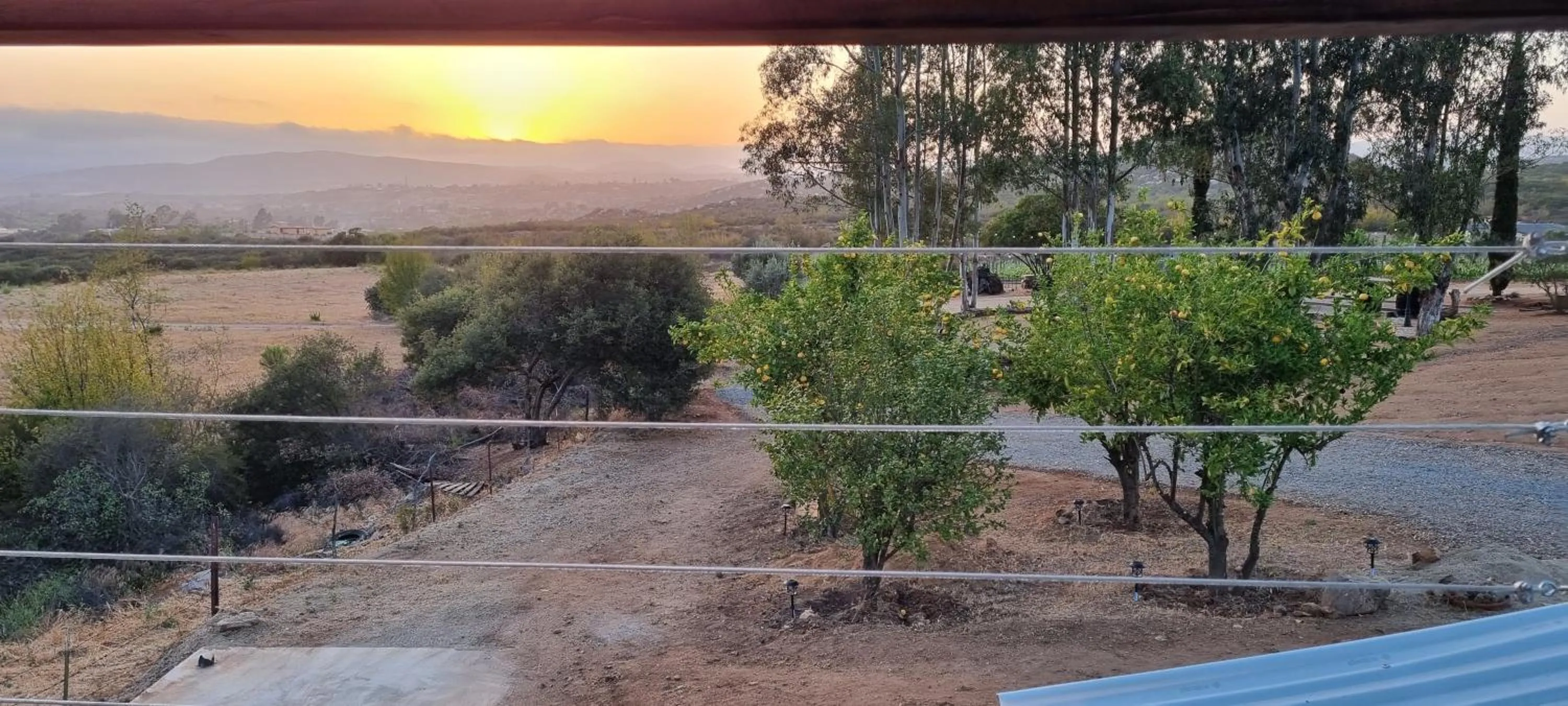 Sunset in Viña Calabria