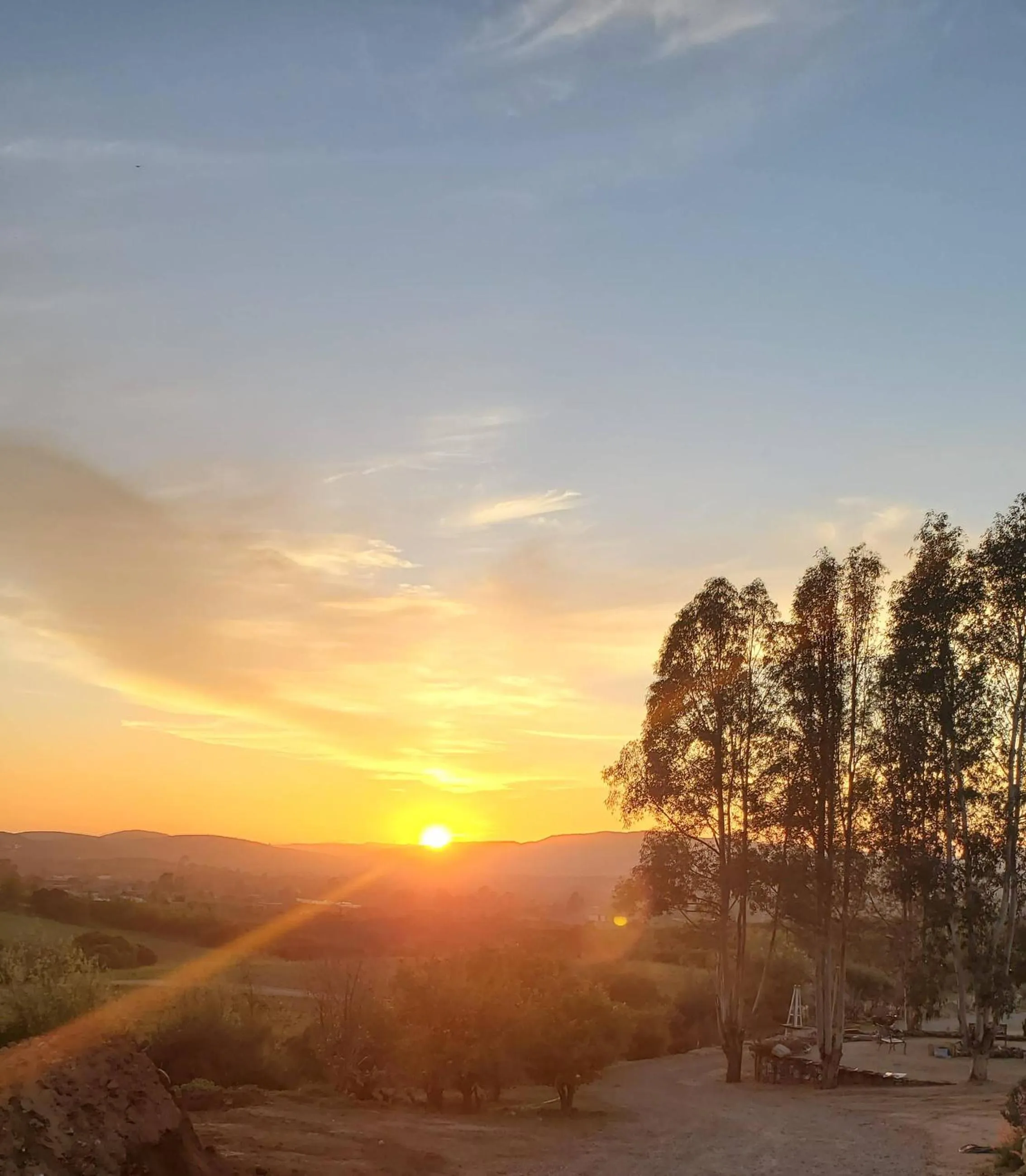Sunset in Viña Calabria