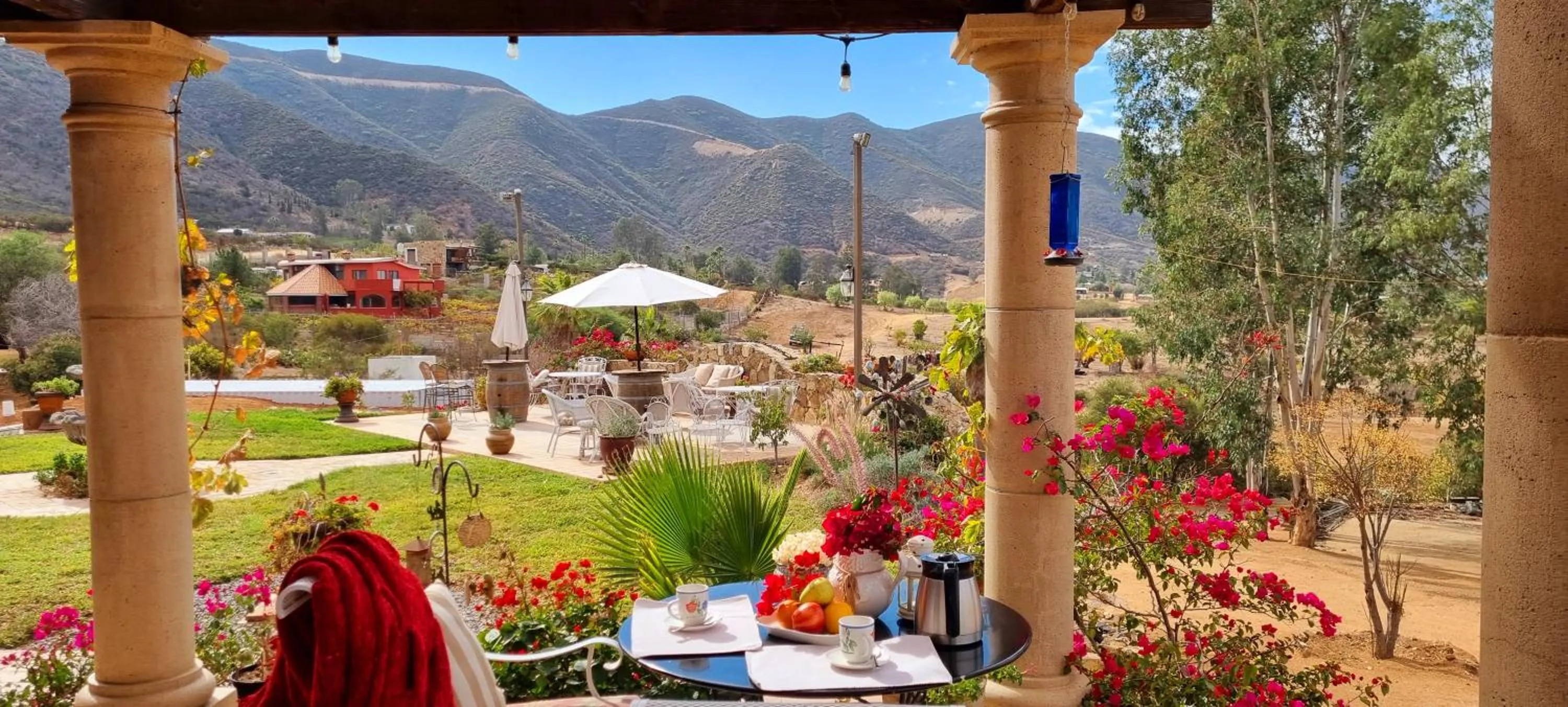 Patio in Viña Calabria
