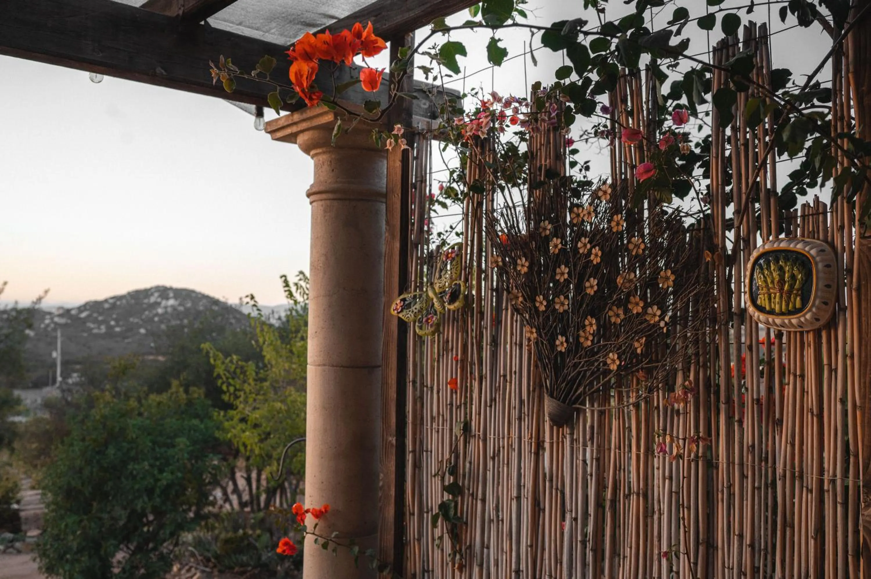Mountain view in Viña Calabria