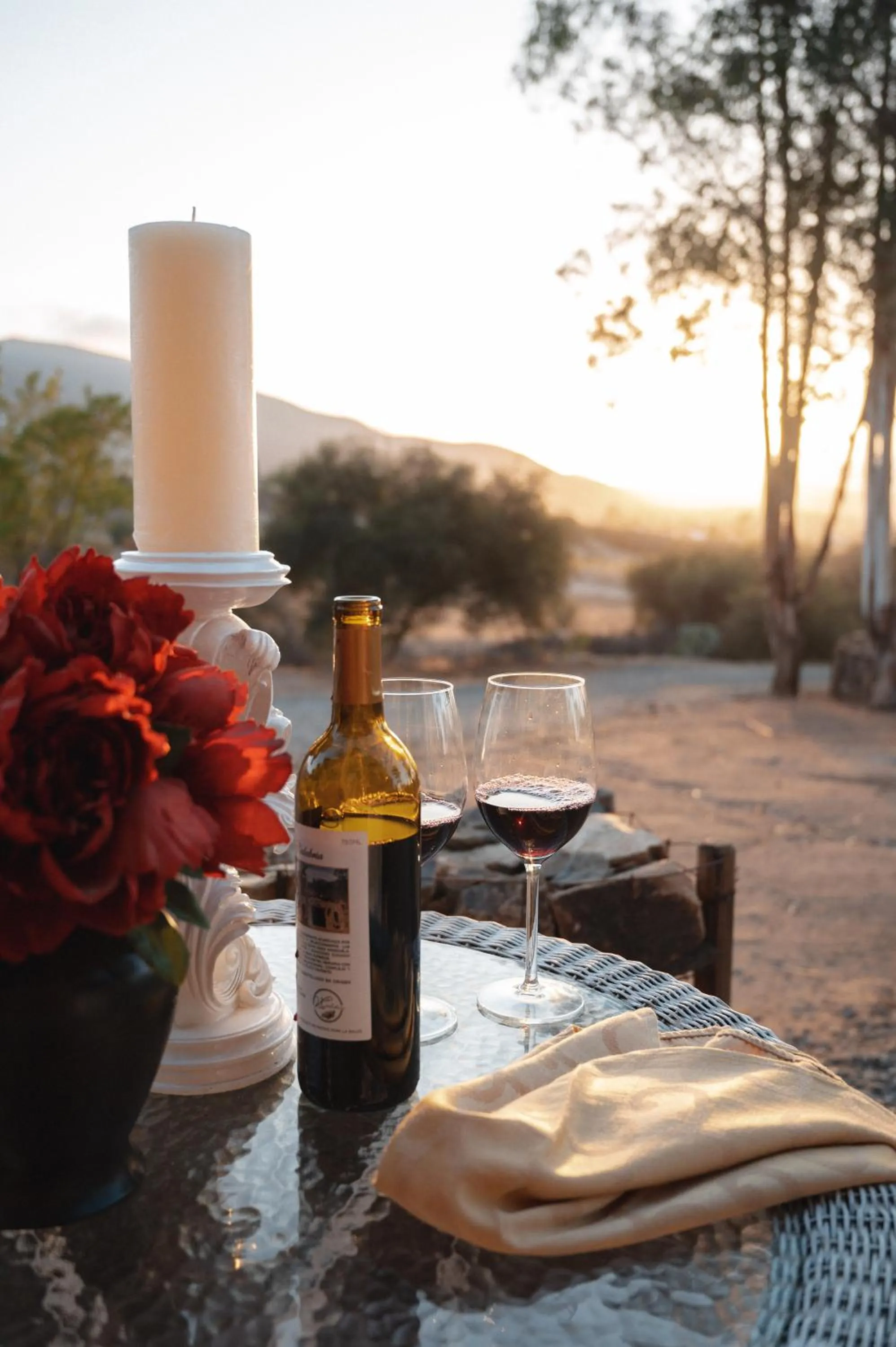 Alcoholic drinks in Viña Calabria