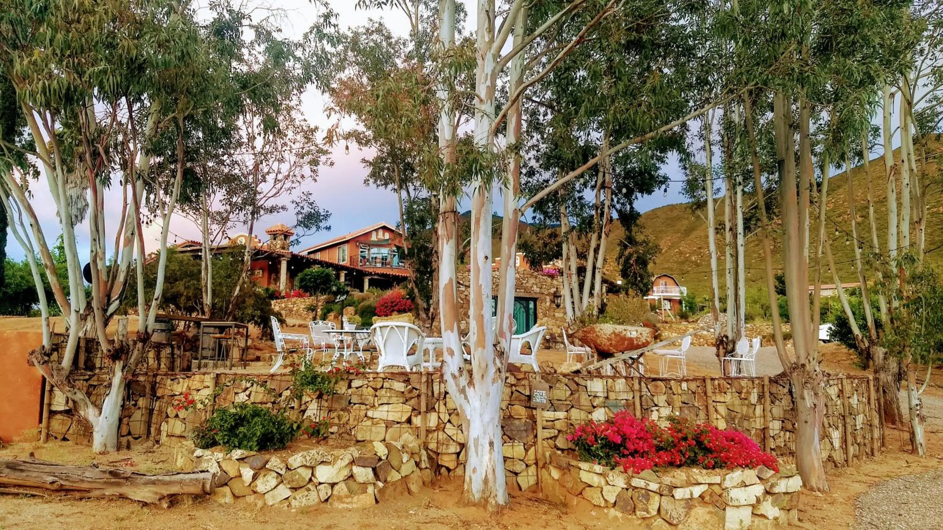 Garden view in Viña Calabria