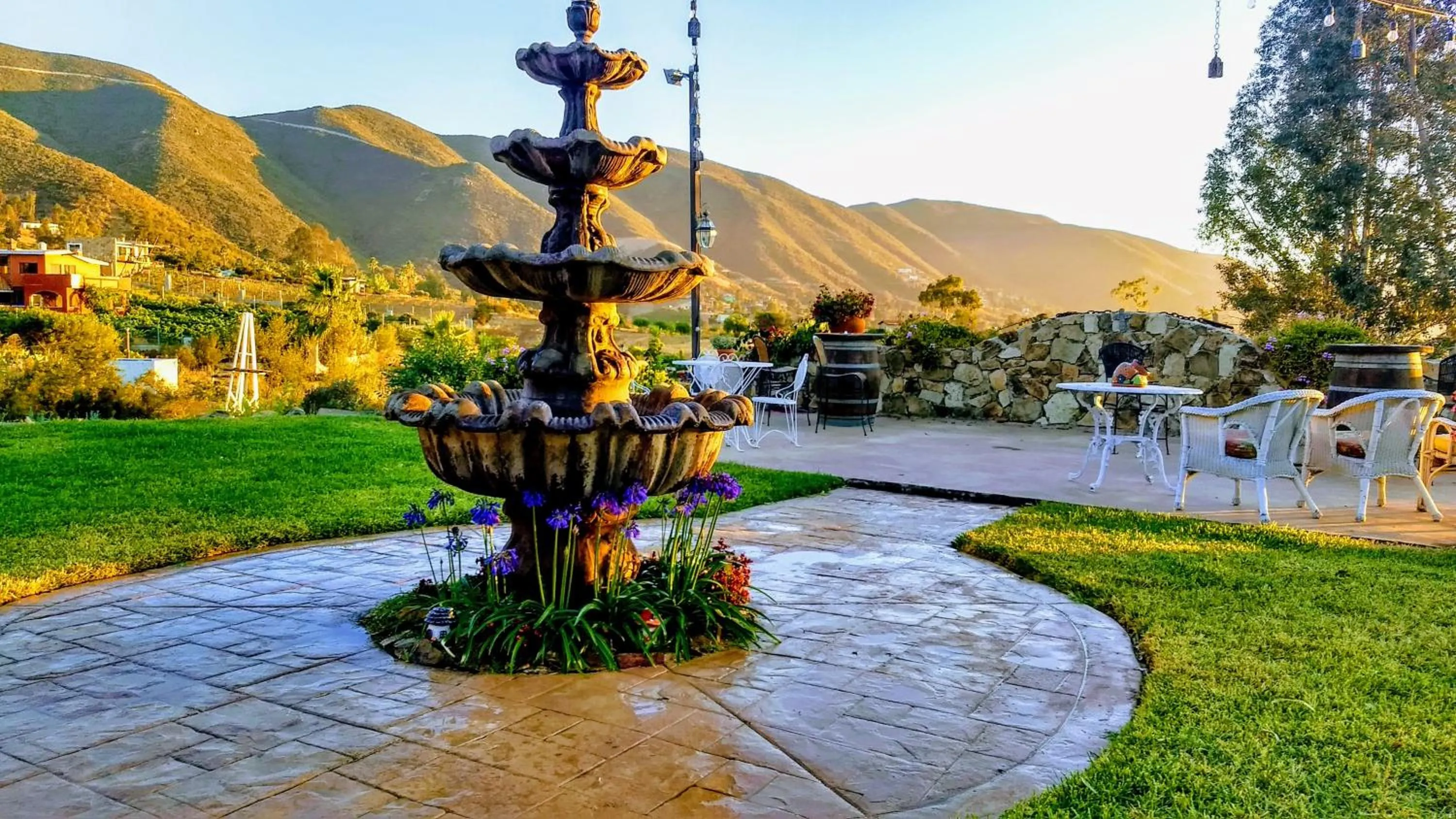 Garden in Viña Calabria