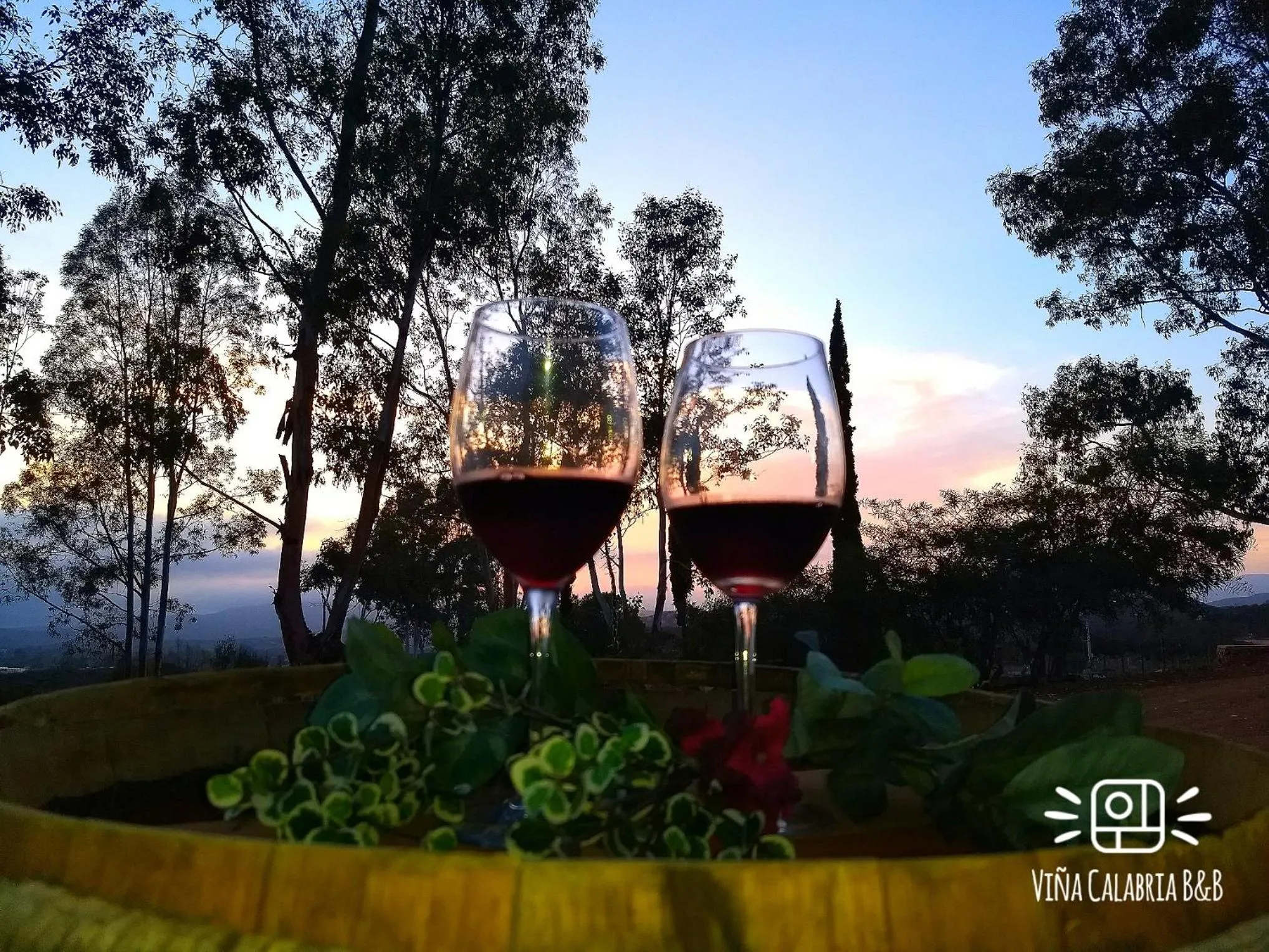 Sunset in Viña Calabria