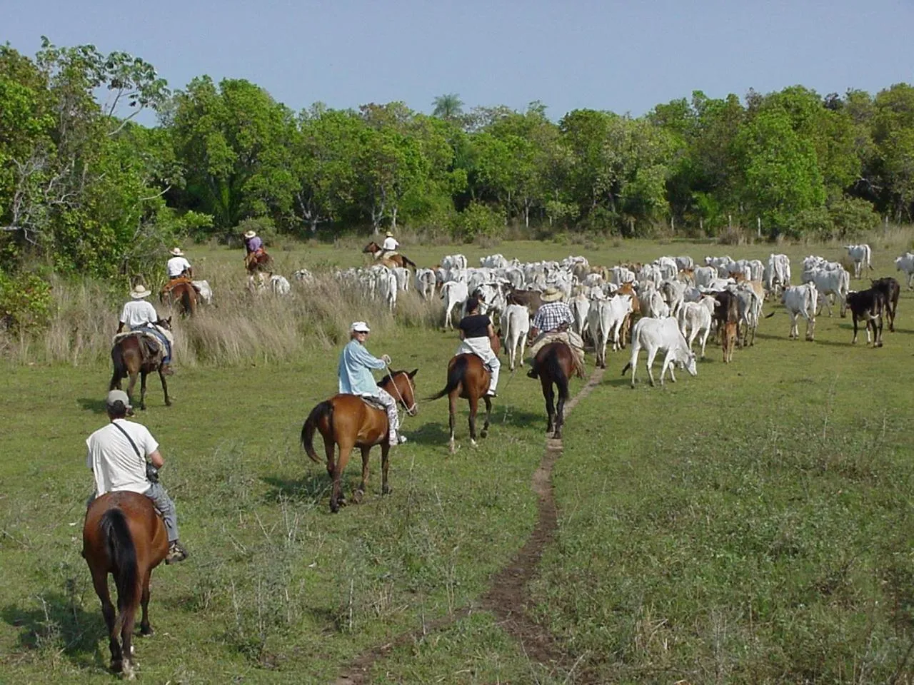 Horse-riding in Pousada Aguape