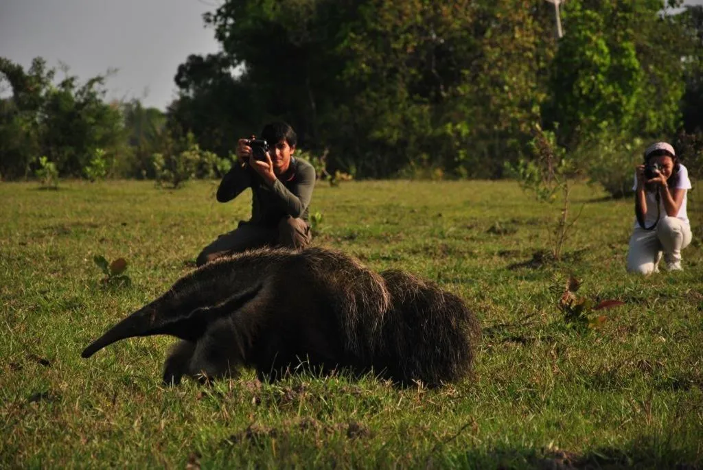 Activities in Pousada Aguape