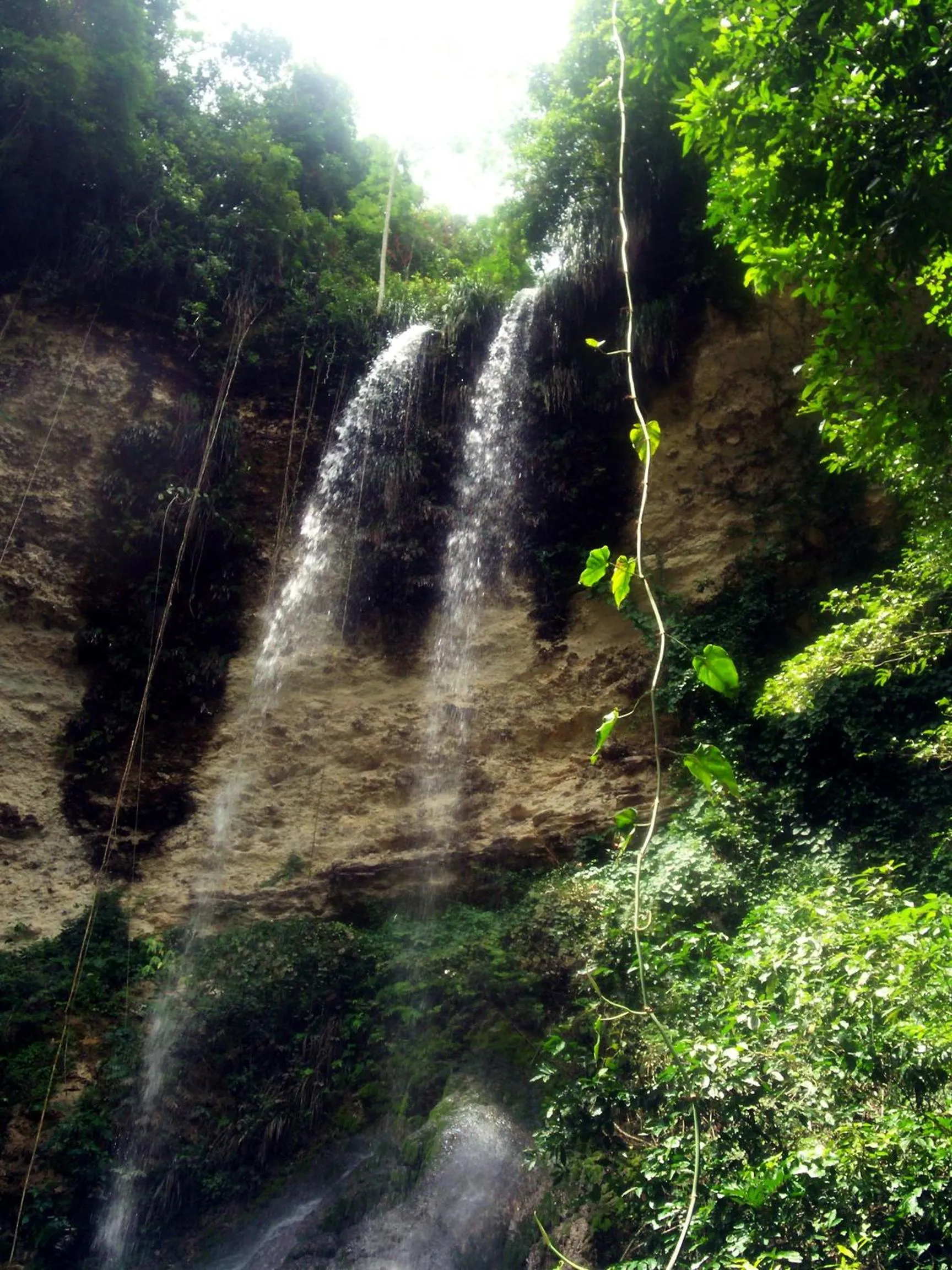 Off site in Hacienda el Jibarito
