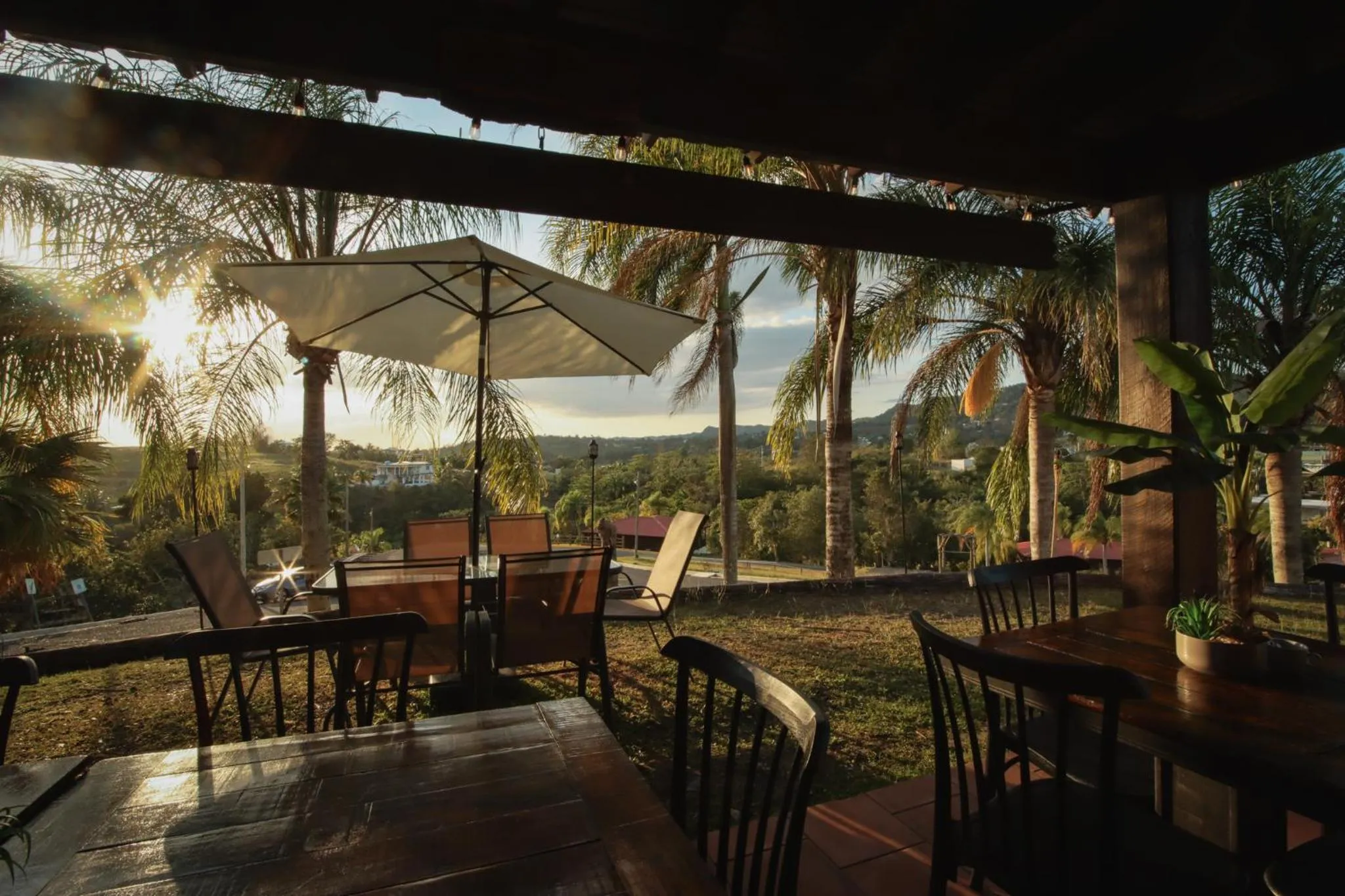 Restaurant/places to eat in Hacienda el Jibarito