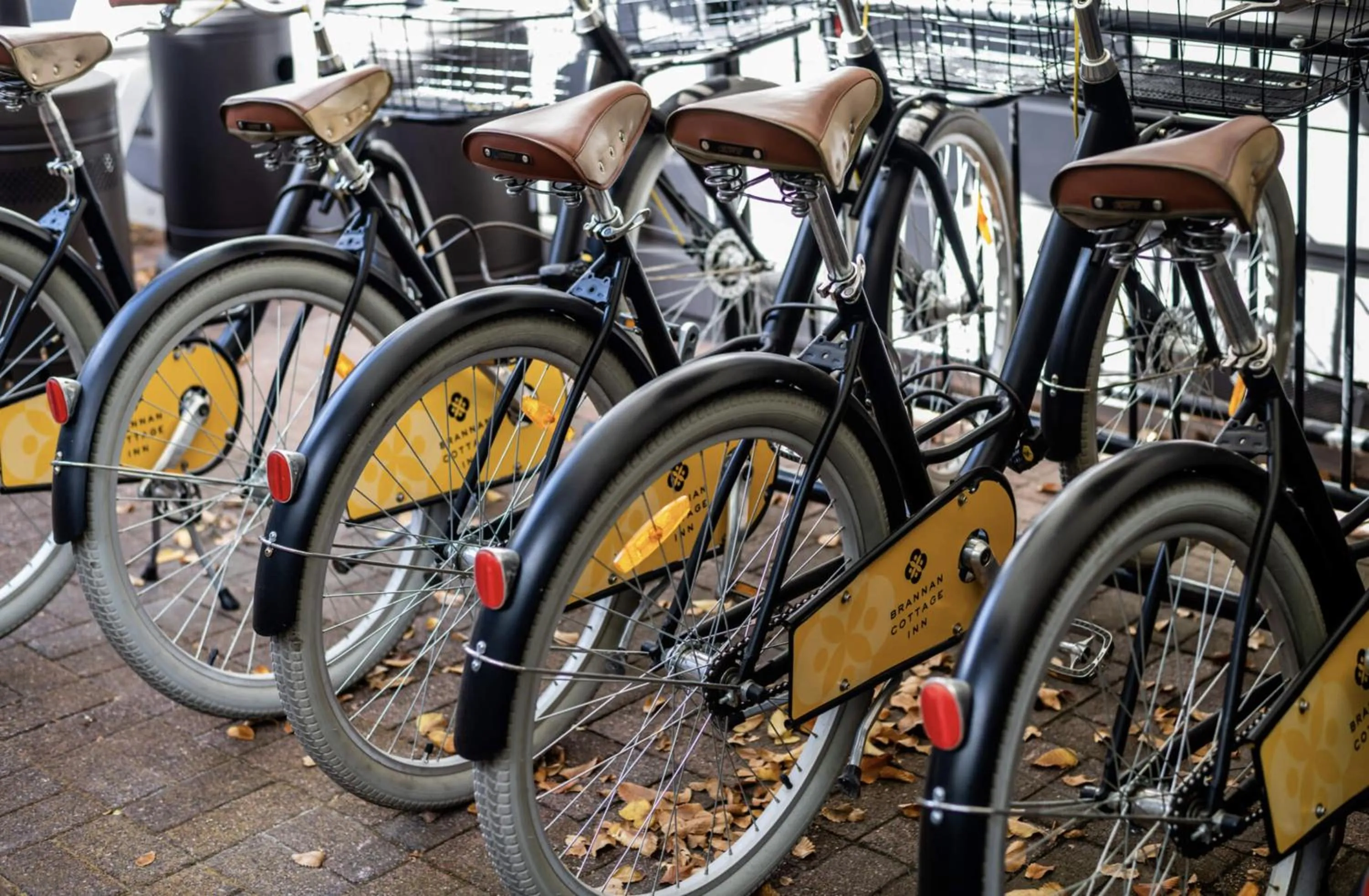 Activities in Brannan Cottage Inn