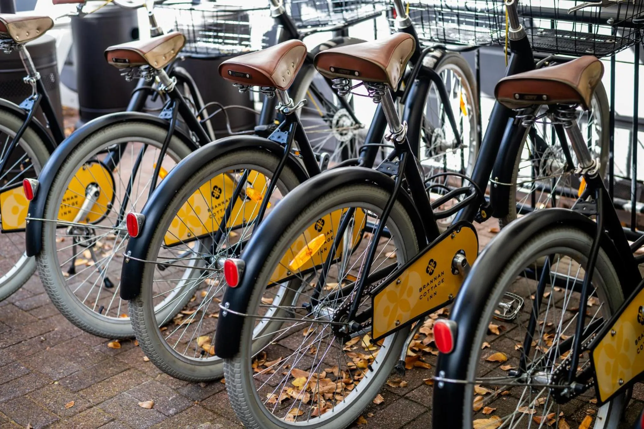 Activities in Brannan Cottage Inn