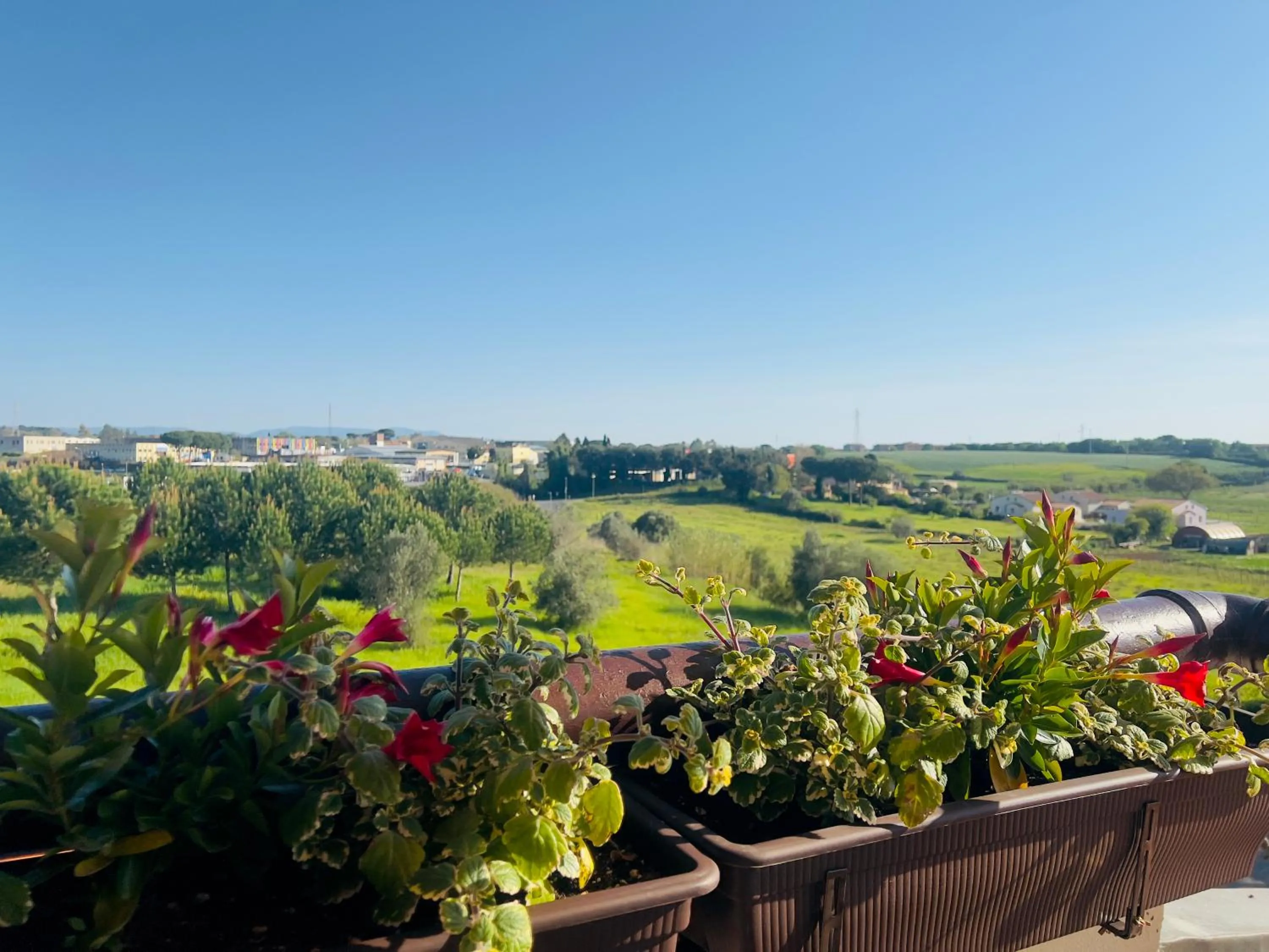 Balcony/Terrace in Villa Lavinia B&B