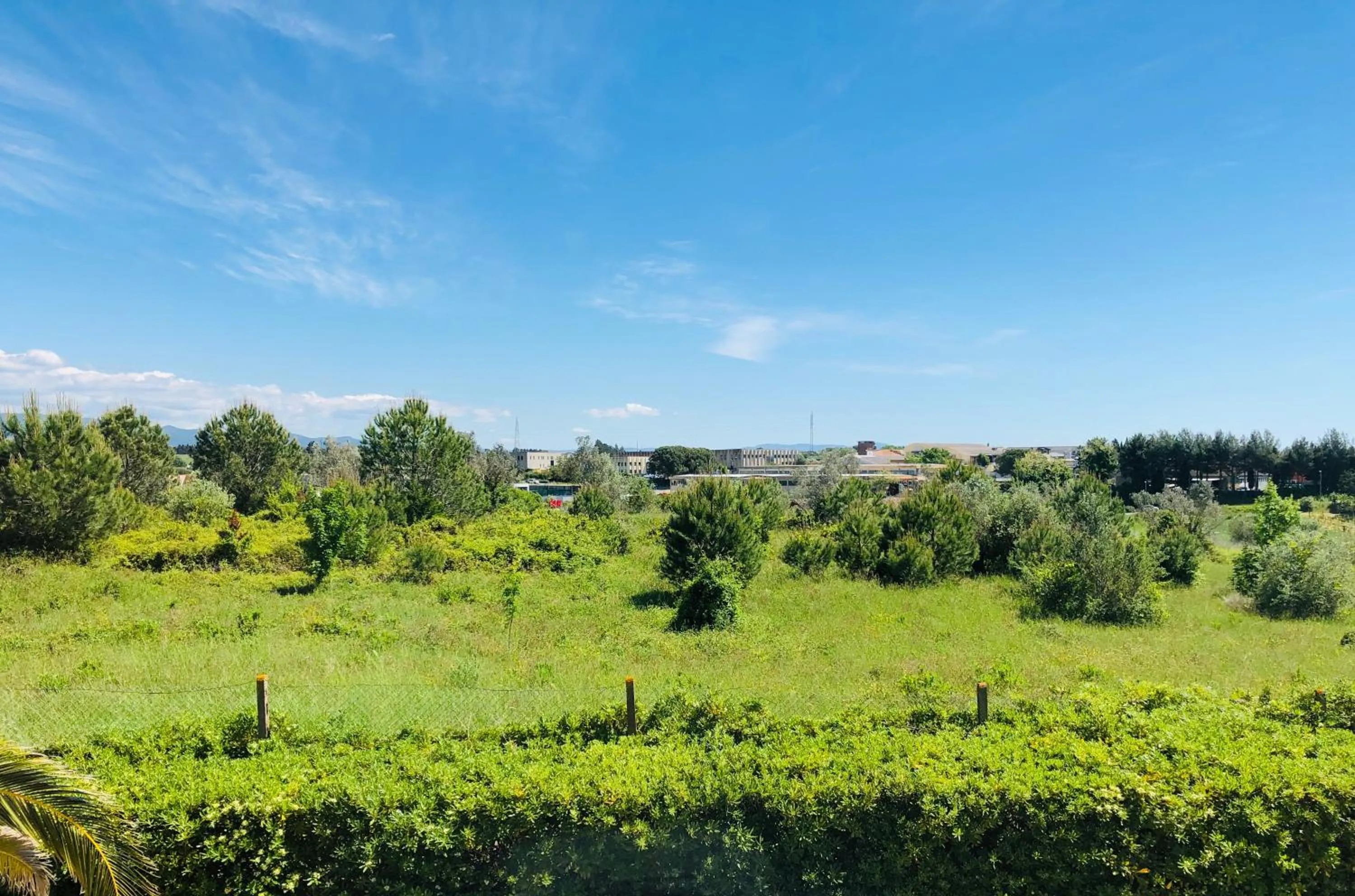 Deluxe Double Room in Villa Lavinia B&B