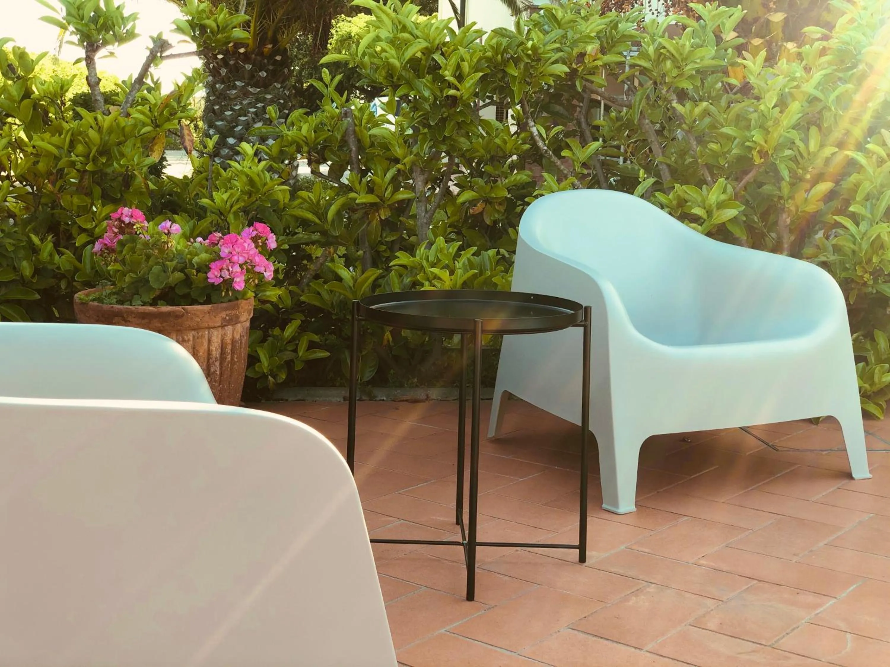 Garden view in Villa Lavinia B&B