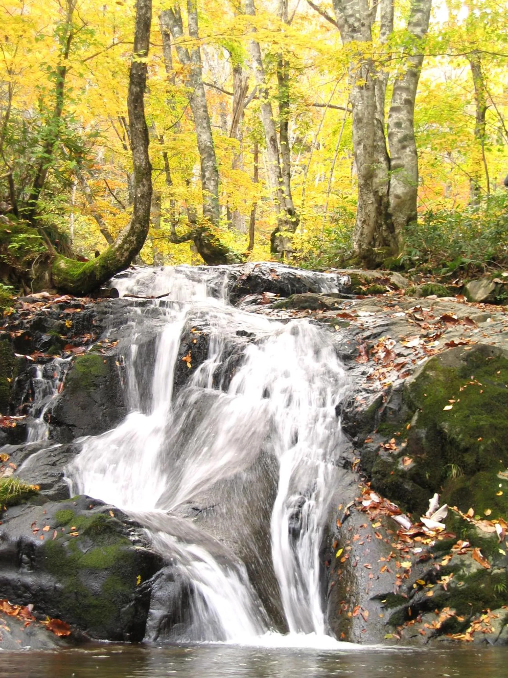 BEYOND HOTEL Takayama 2nd