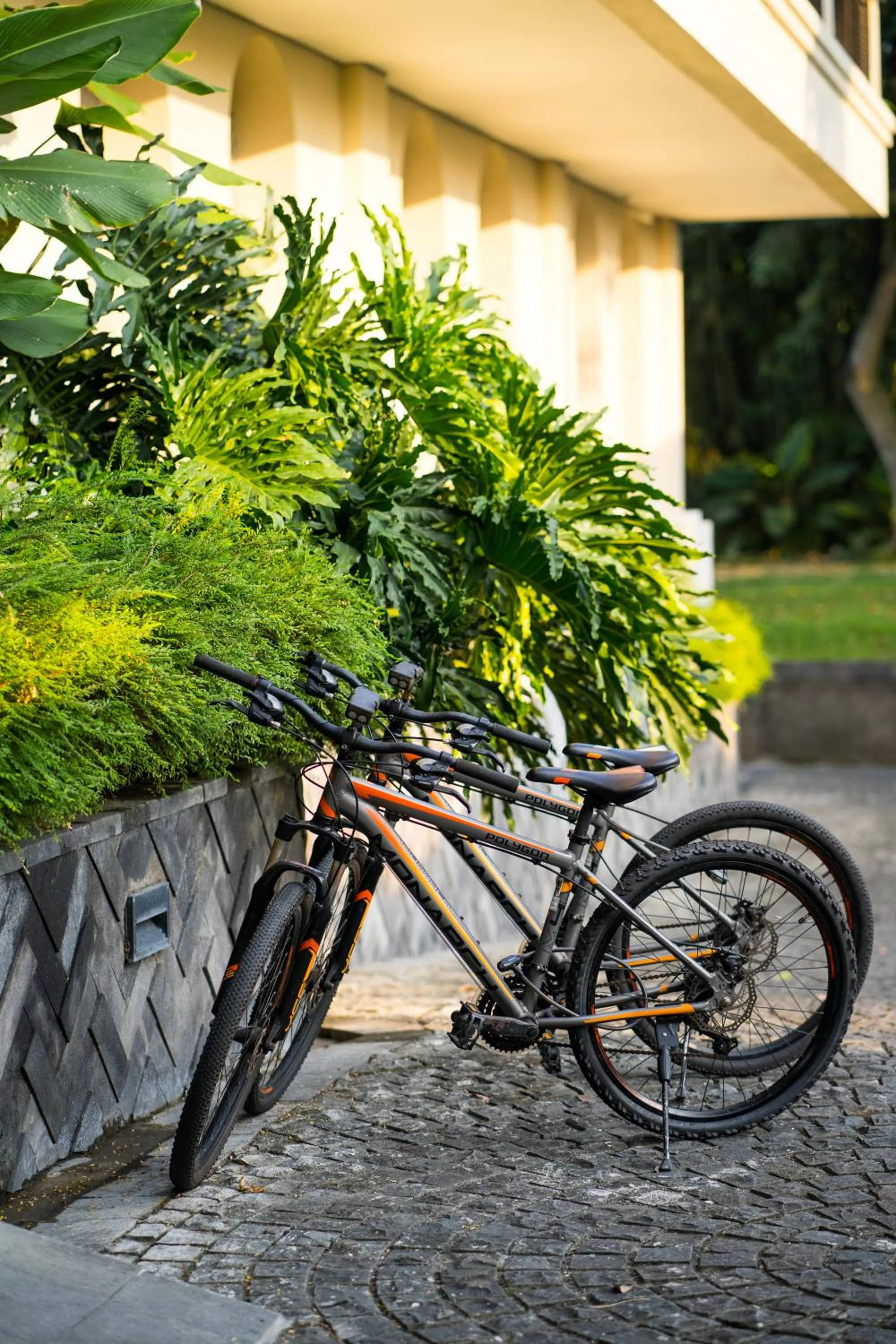 Activities in tanadewa Resort Ubud Bali by Cross Collection